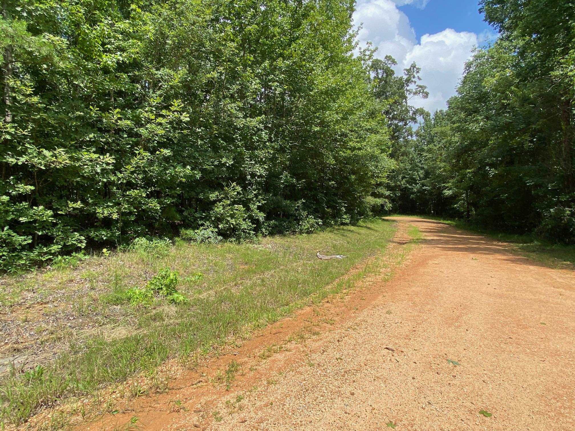 Gendale & Bald Eagle Dr Property Photo 13
