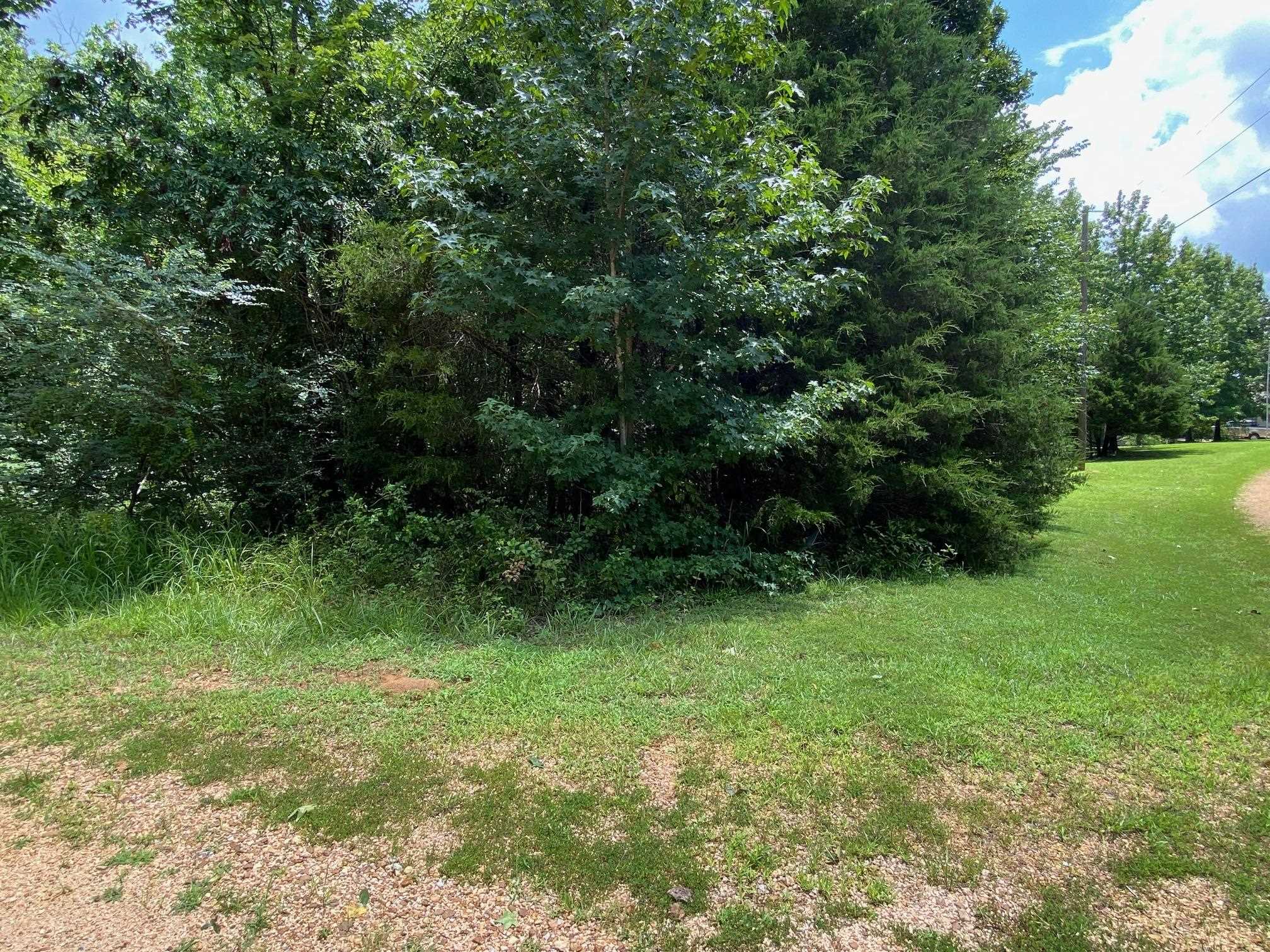 Gendale & Bald Eagle Dr Property Photo 15