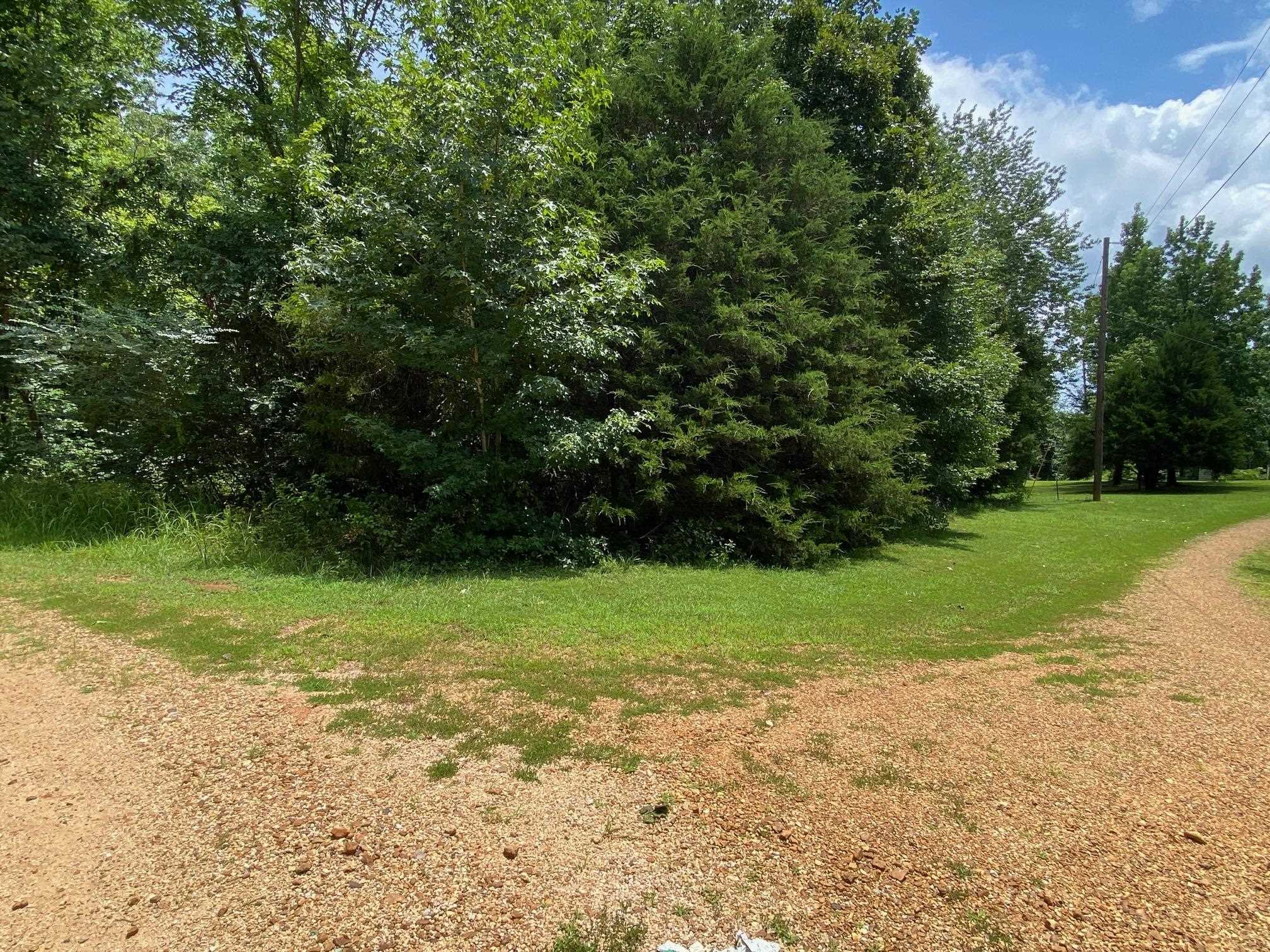 Gendale & Bald Eagle Dr Property Photo 16