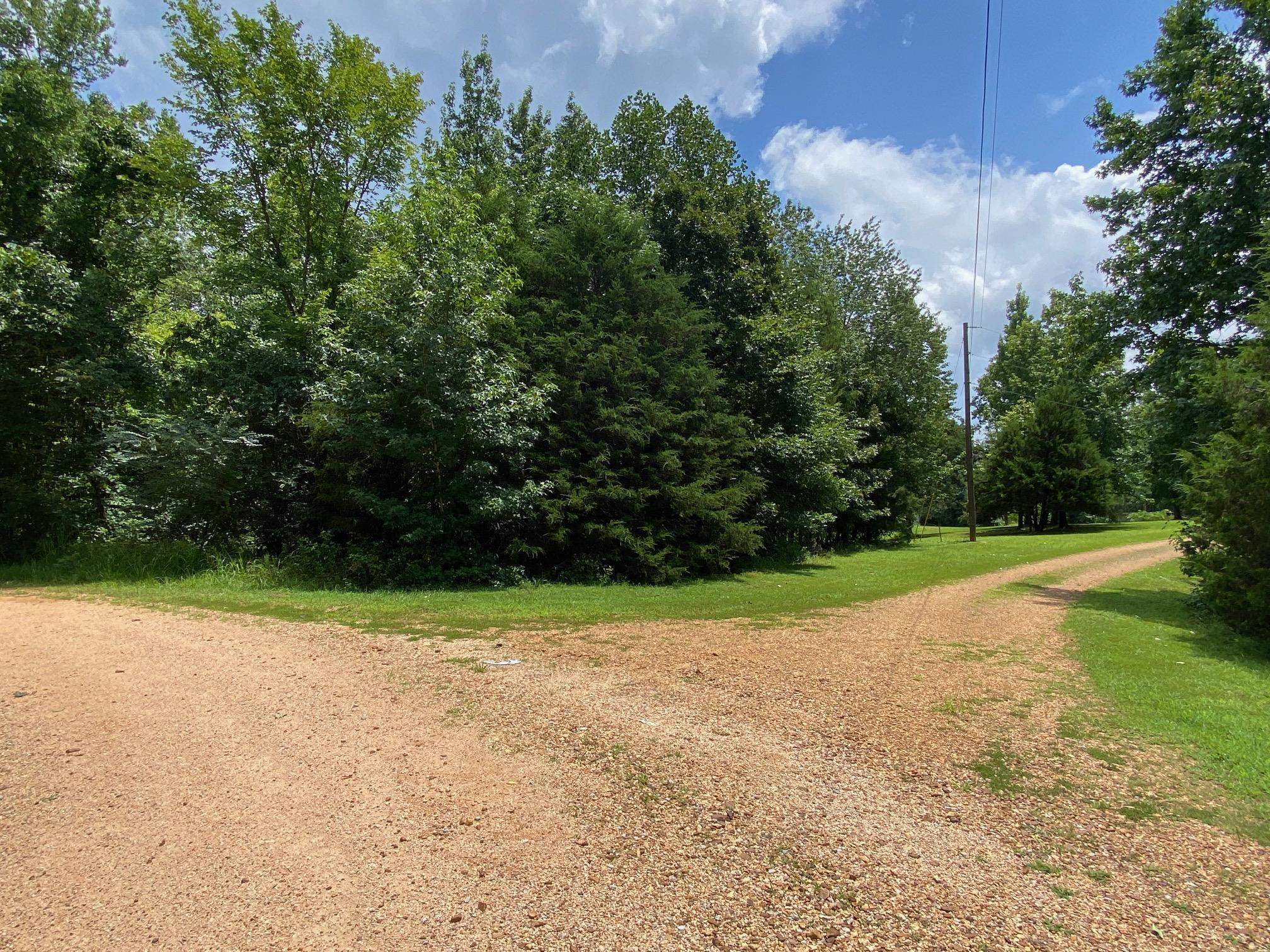 Gendale & Bald Eagle Dr Property Photo 17