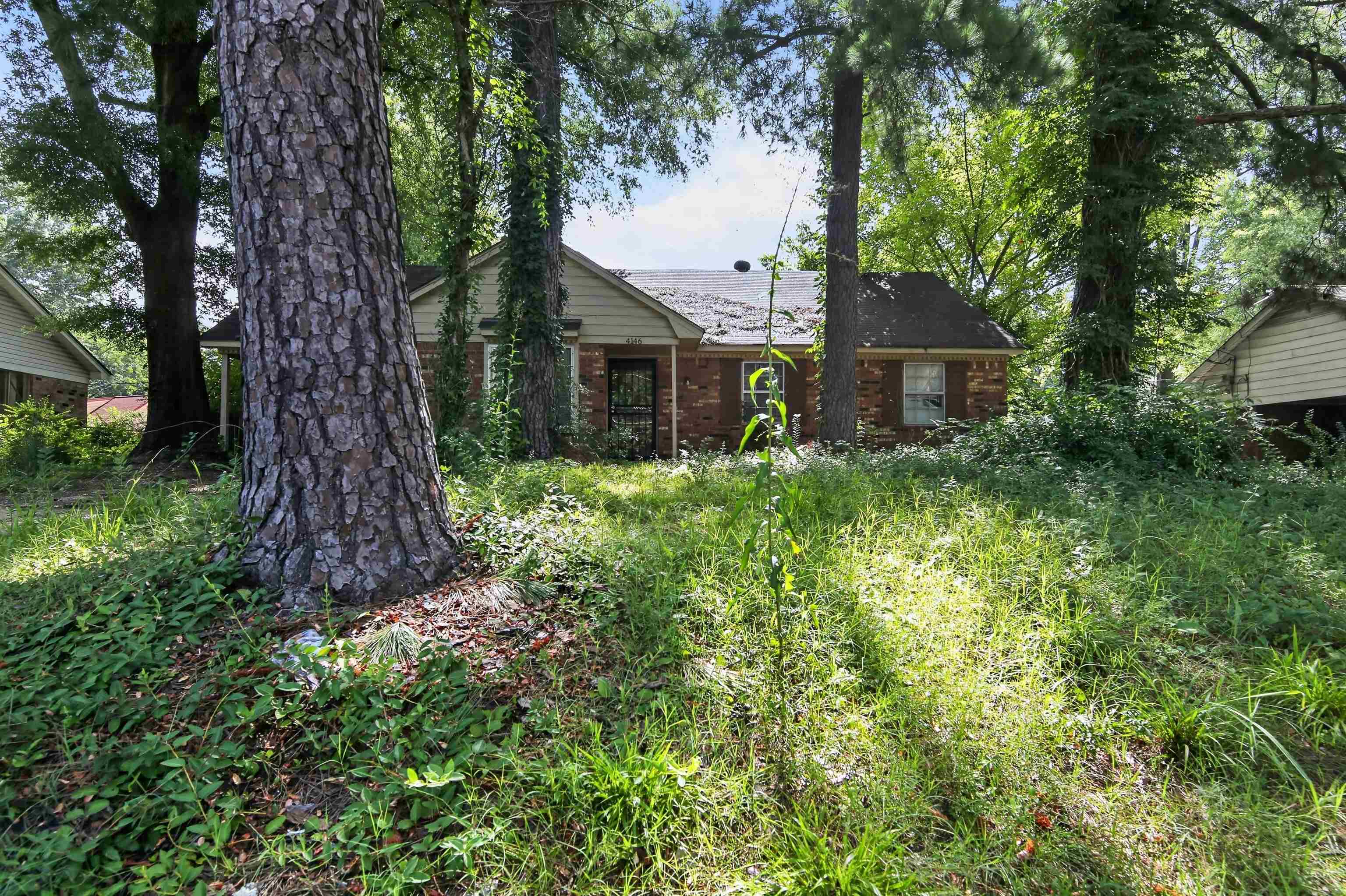 4146 Overton Crossing Rd Property Photo 3