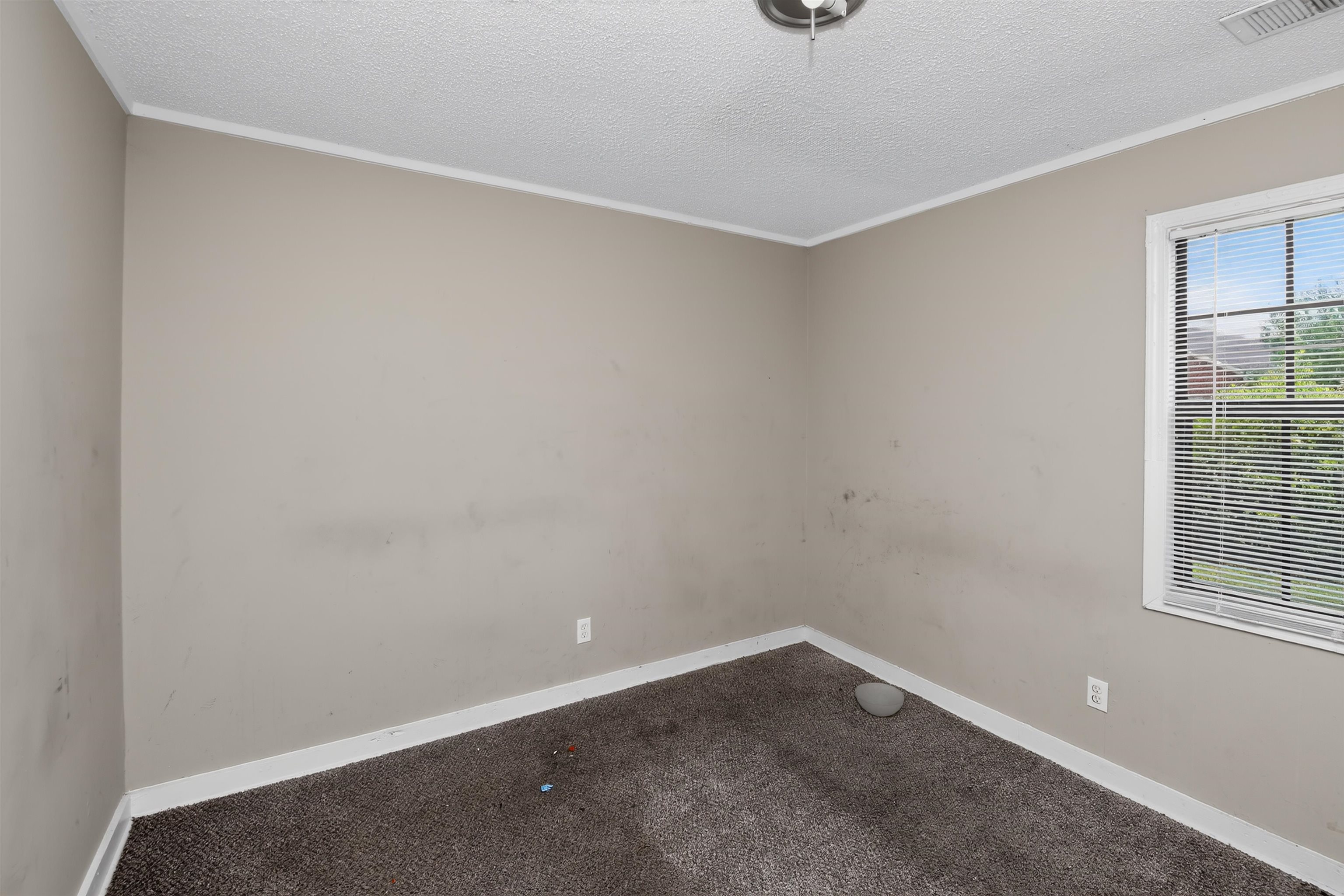 882 Leacrest Ave Property Photo 19