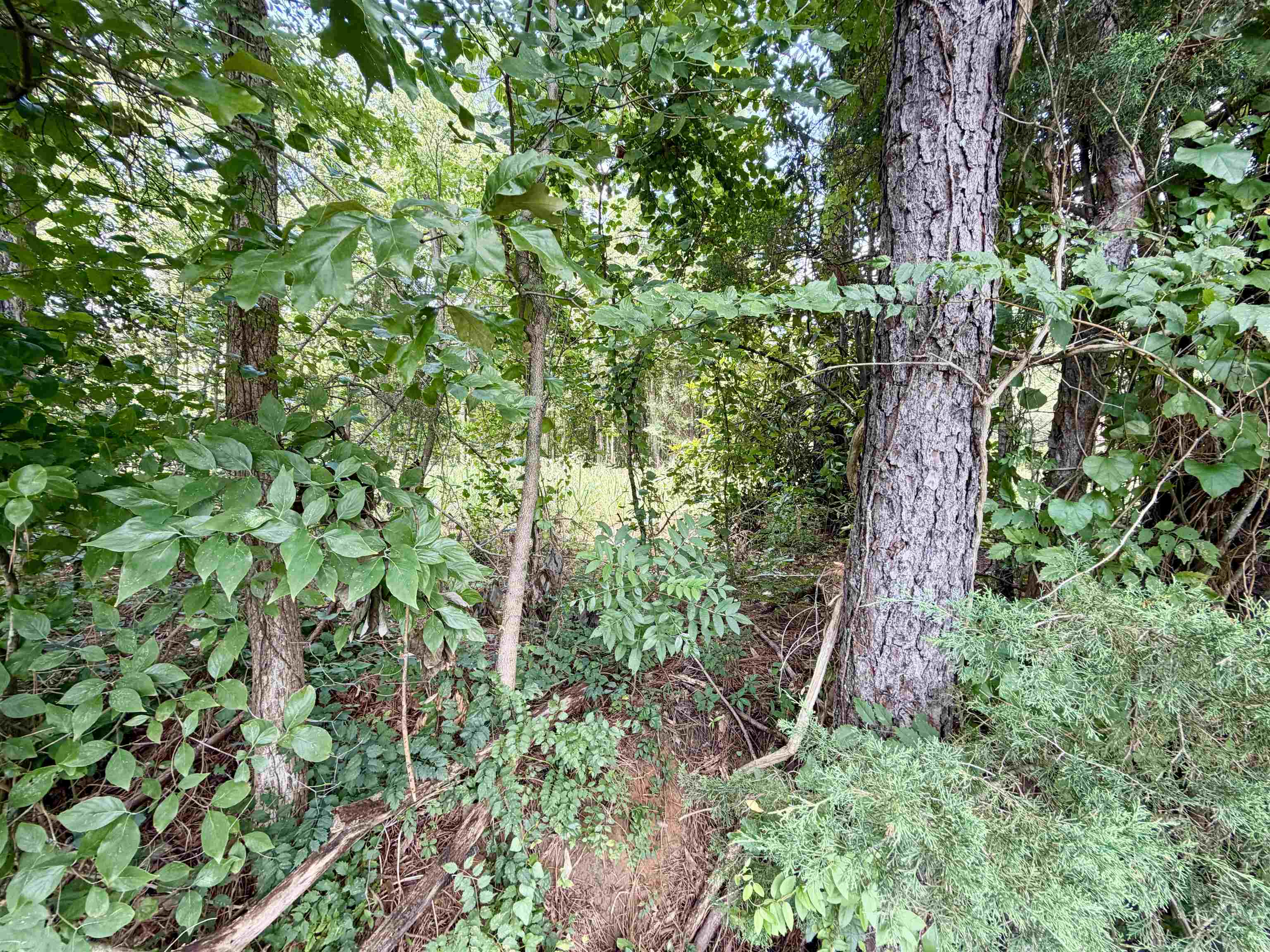0 Farber Dr Property Photo 3