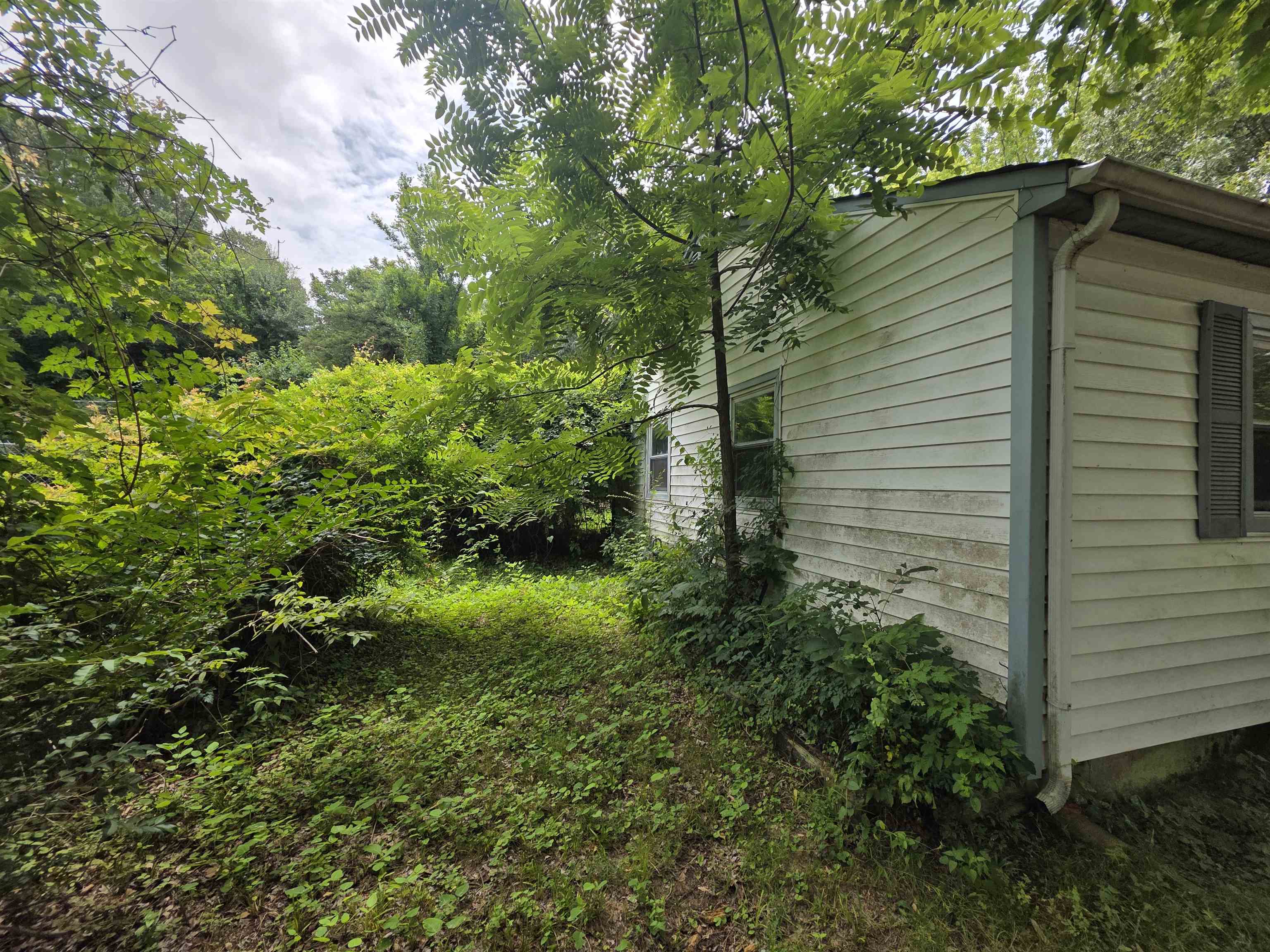 3296 Madewell Dr Property Photo 4