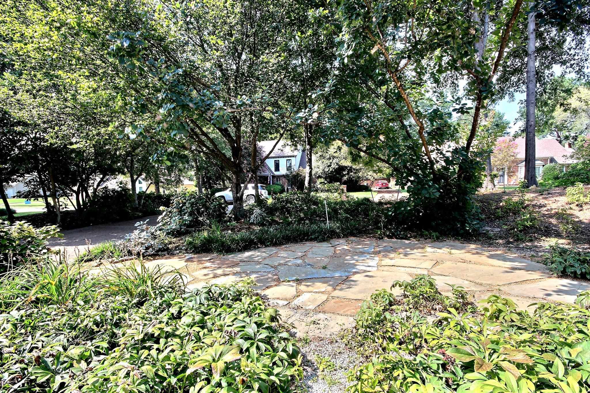 7951 Elm Leaf St Property Photo 3