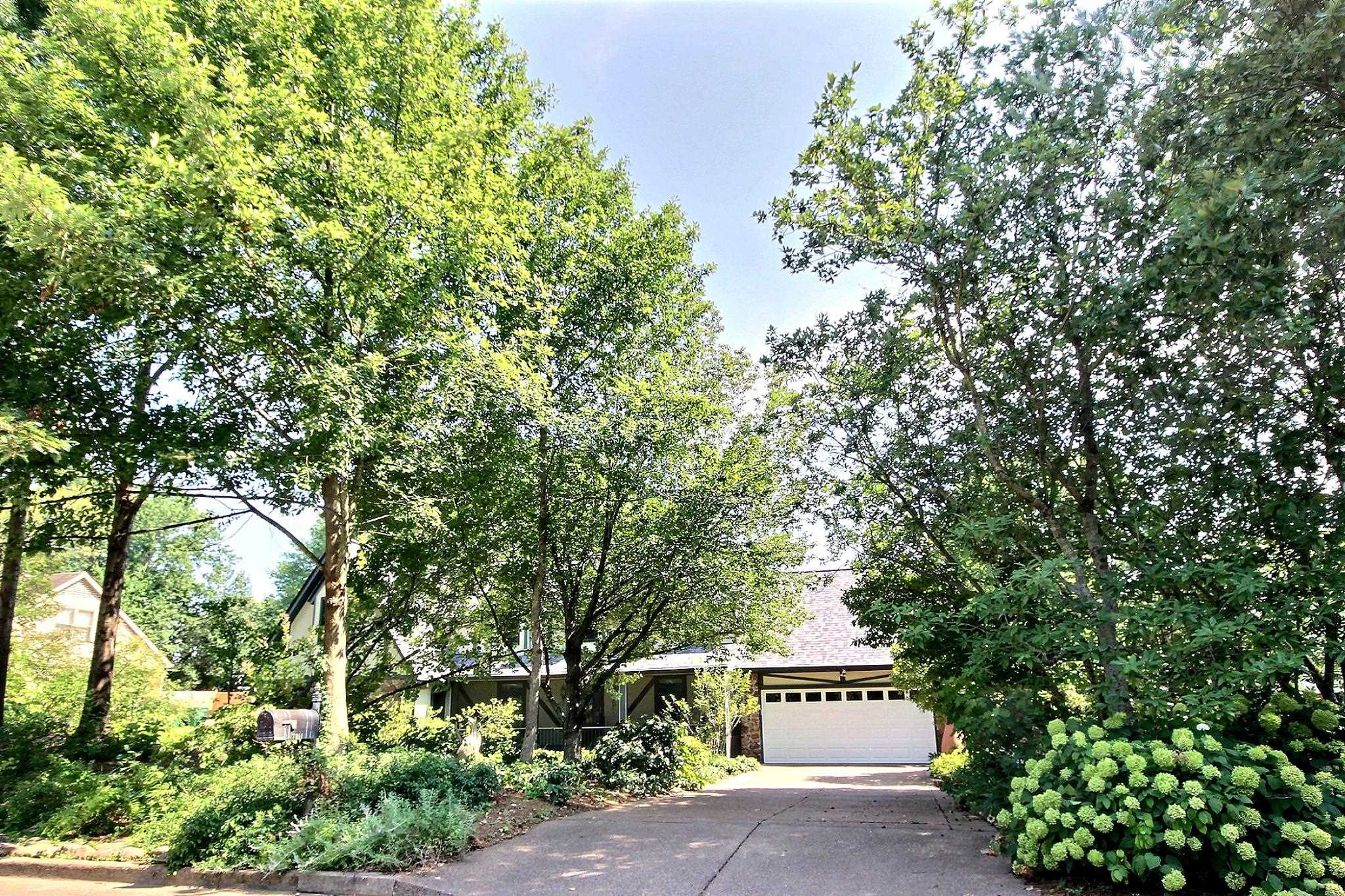 7951 Elm Leaf St Property Photo 4