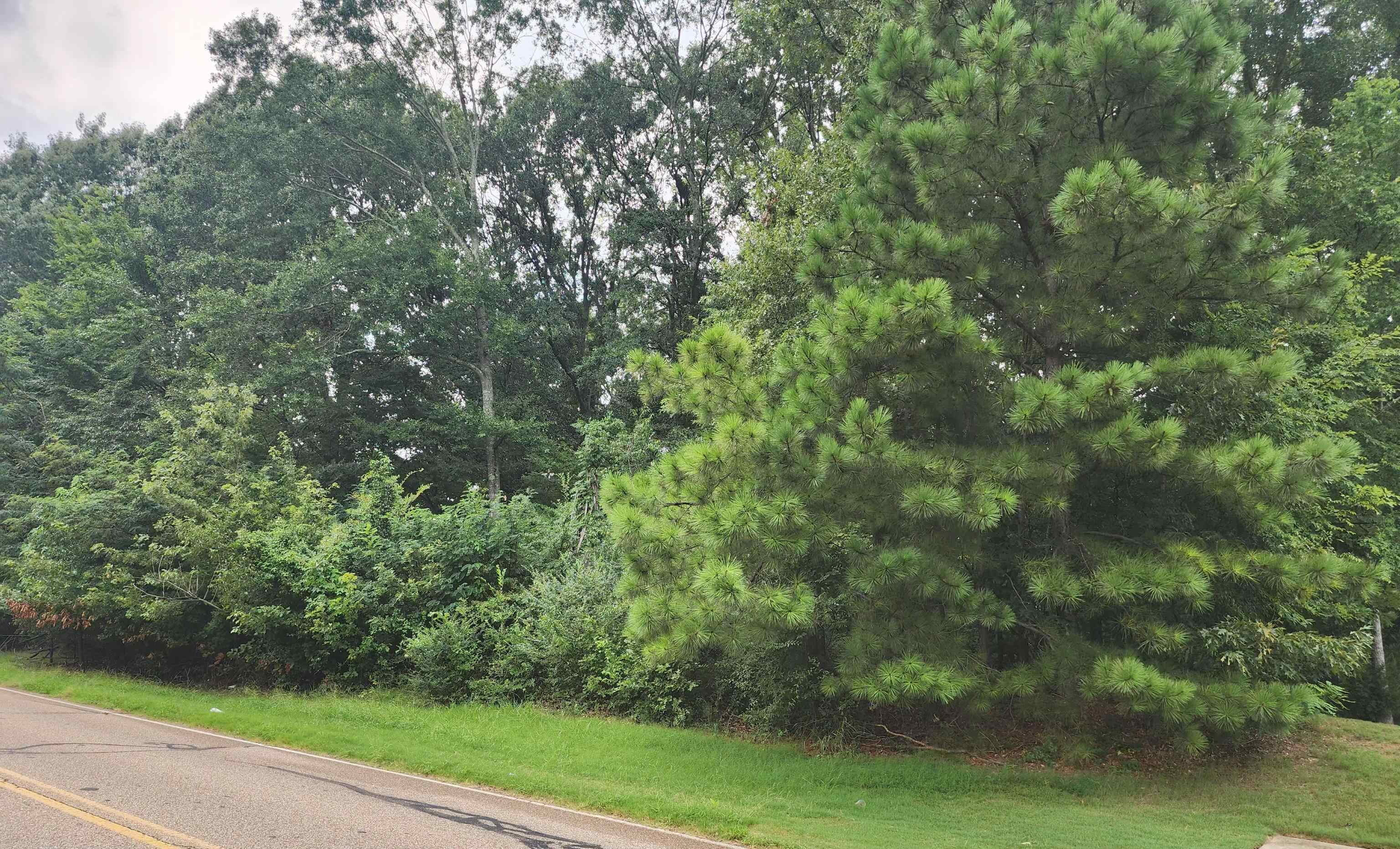0 Hayes Rd Property Photo 14