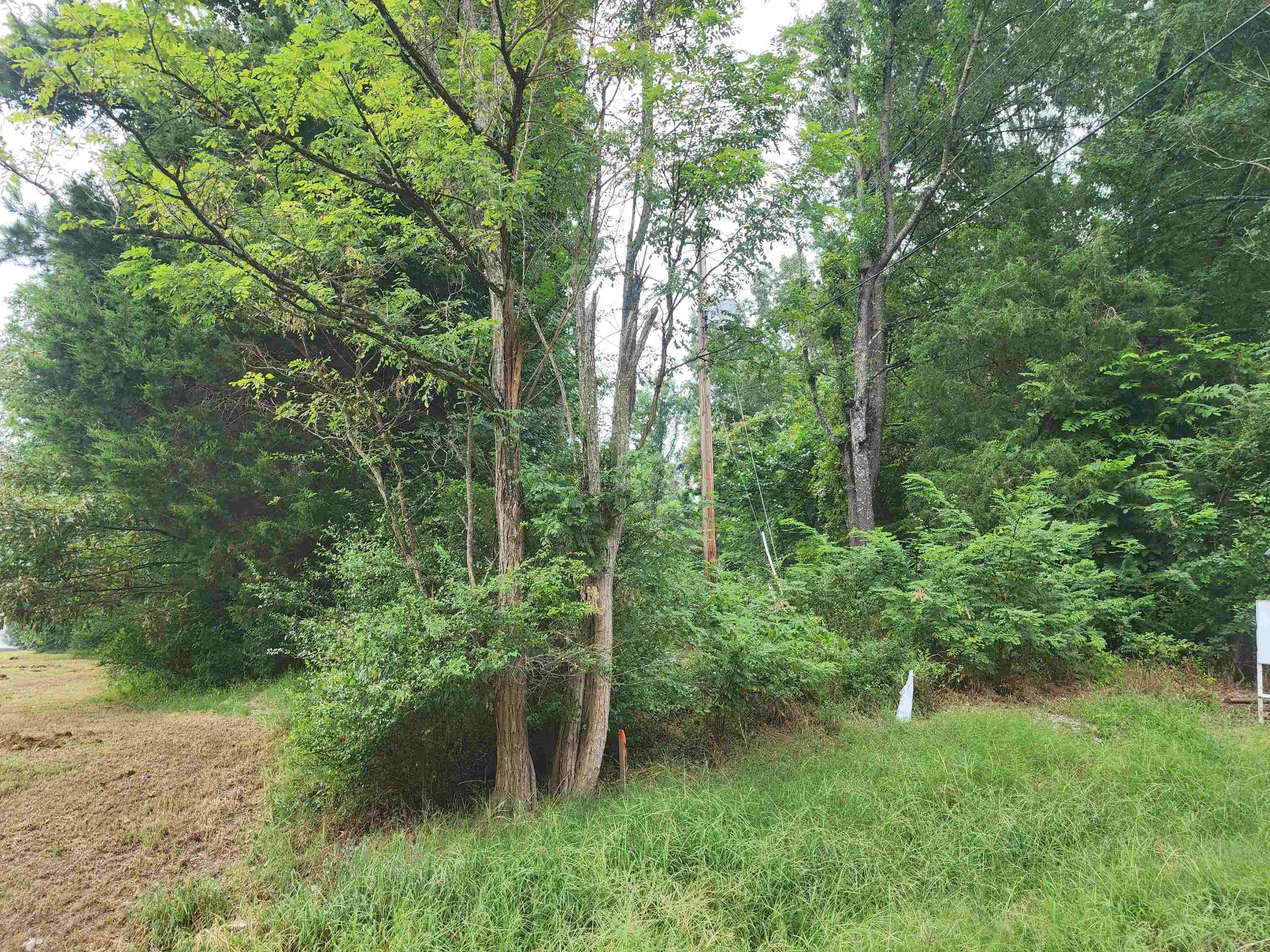 0 Hayes Rd Property Photo 18