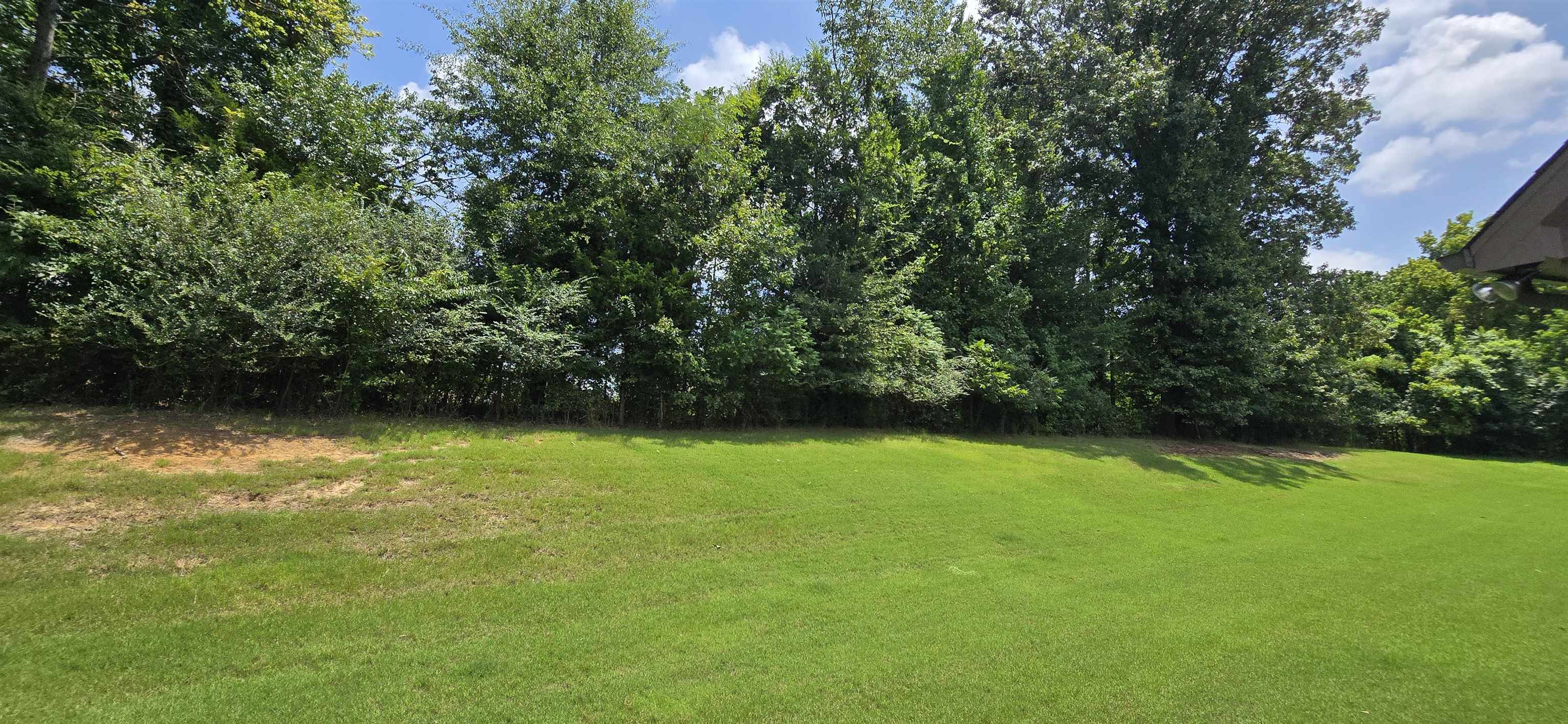 4778 Avi Cv Property Photo 29