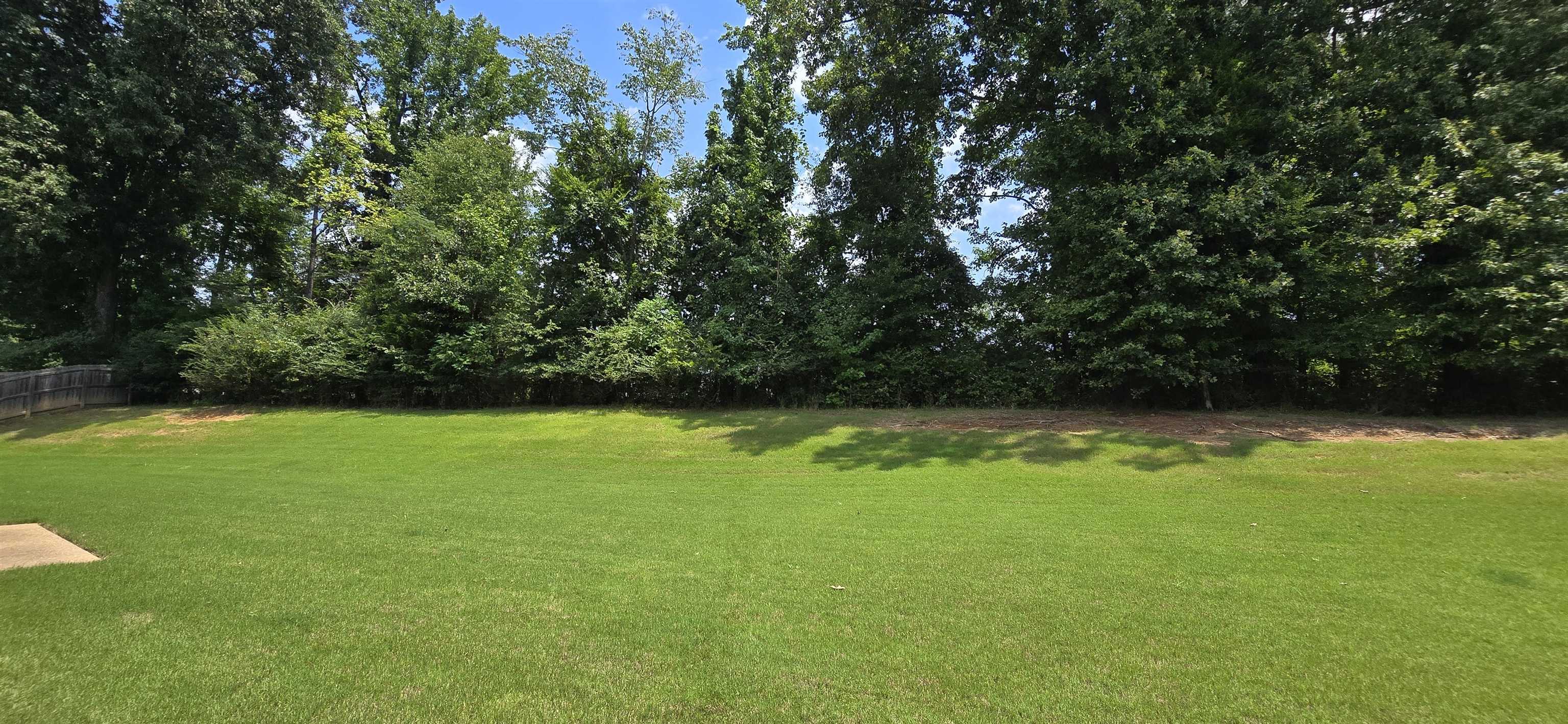 4778 Avi Cv Property Photo 30