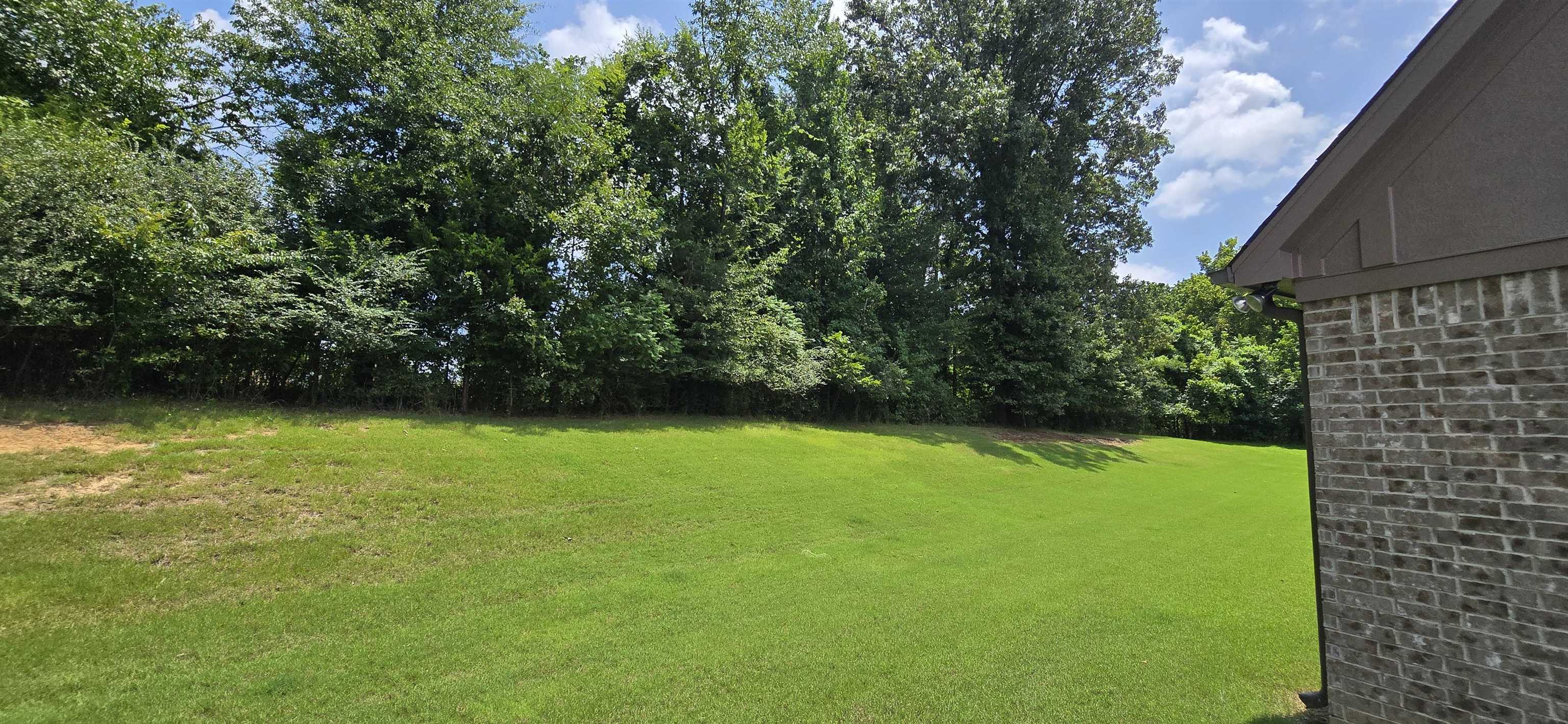 4778 Avi Cv Property Photo 31