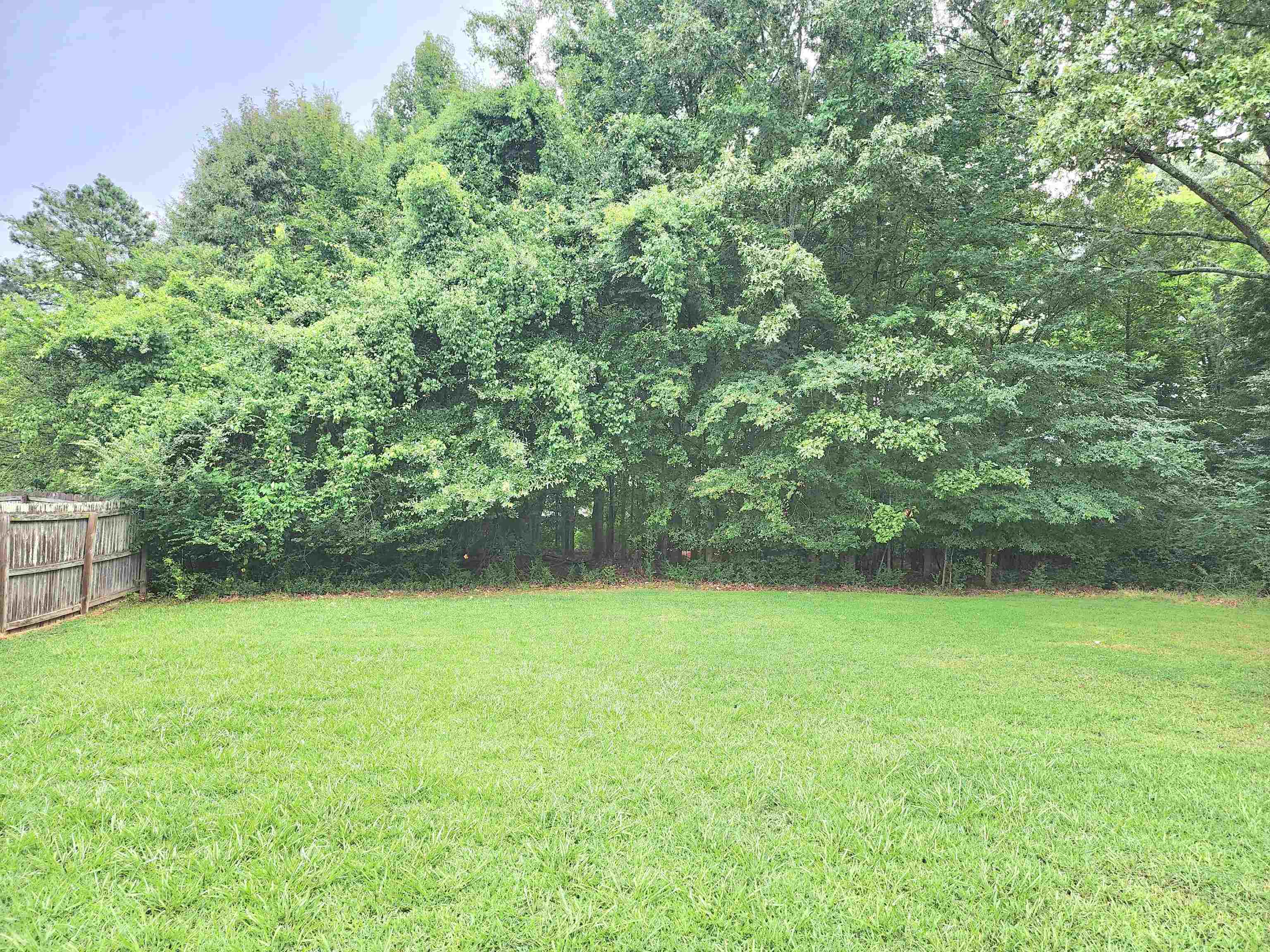 5435 Hayes Rd Property Photo 9