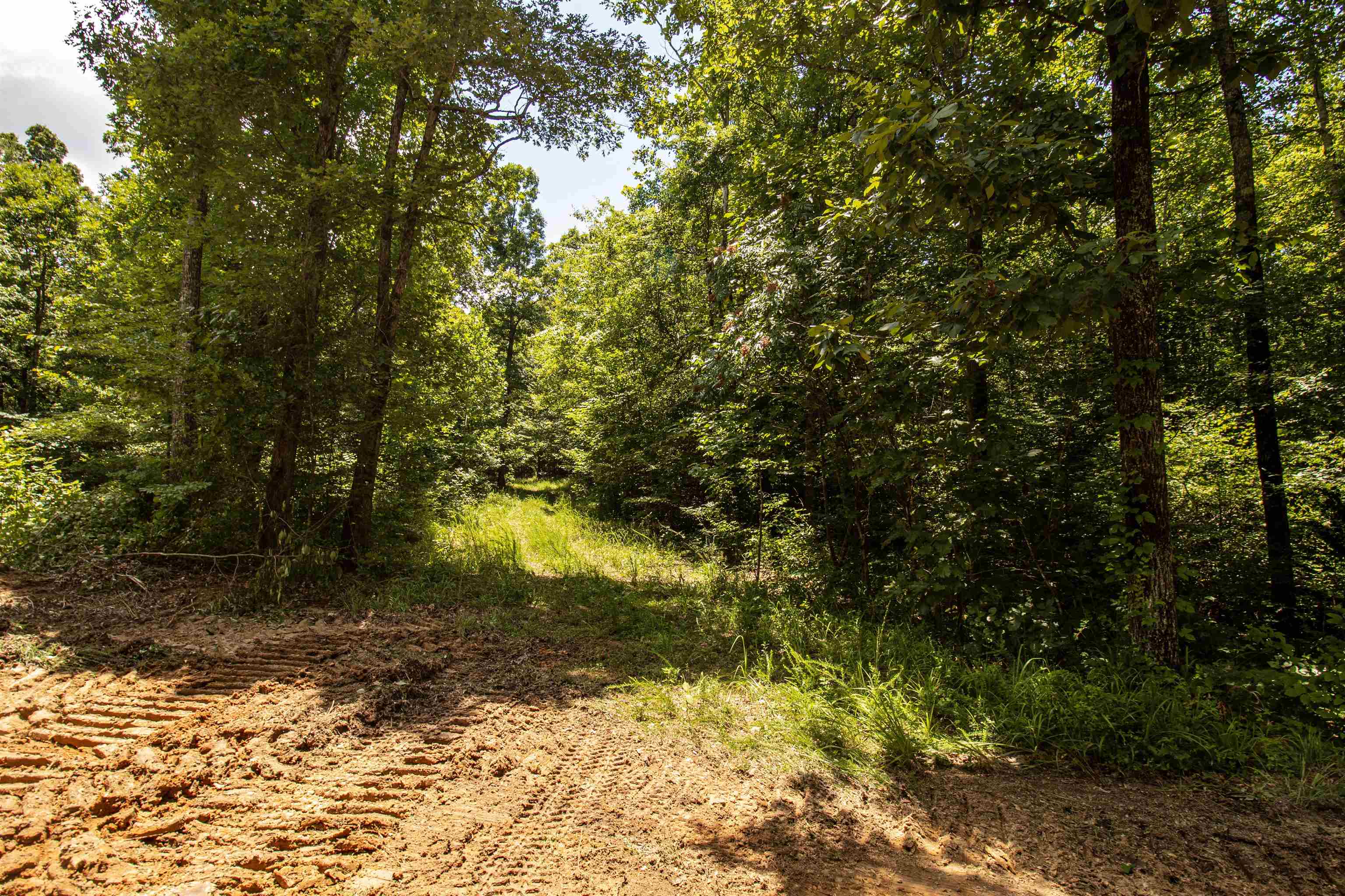 00 100 Hwy Property Photo 3