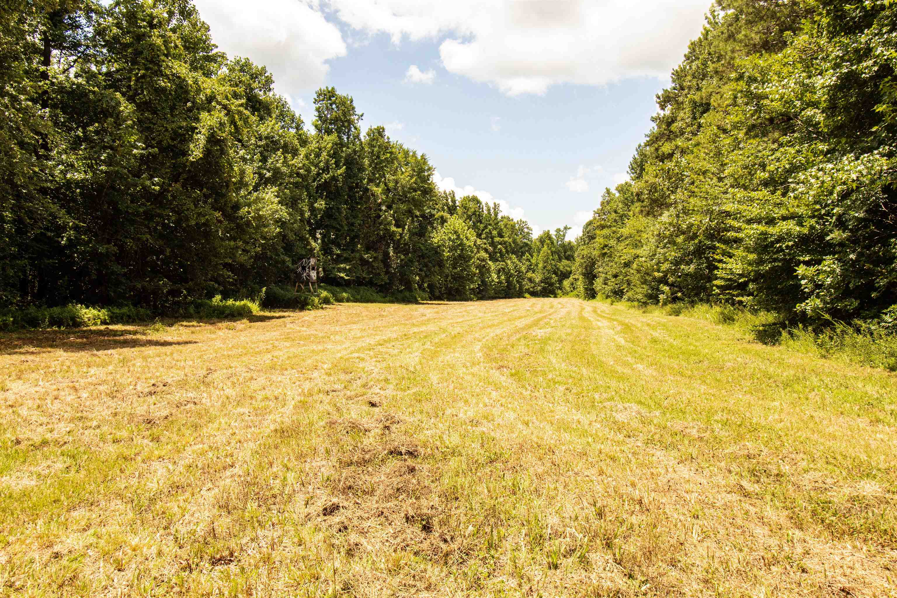 00 100 Hwy Property Photo 14