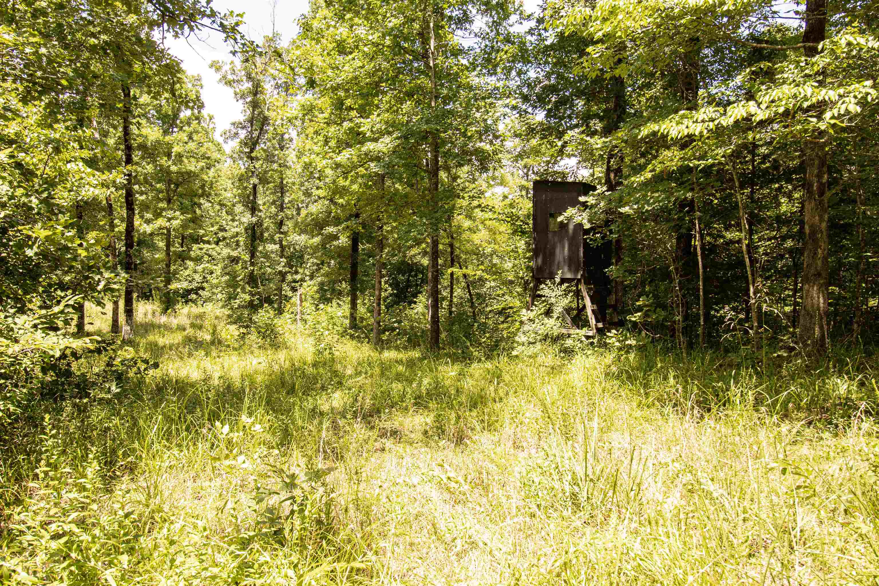 00 100 Hwy Property Photo 16