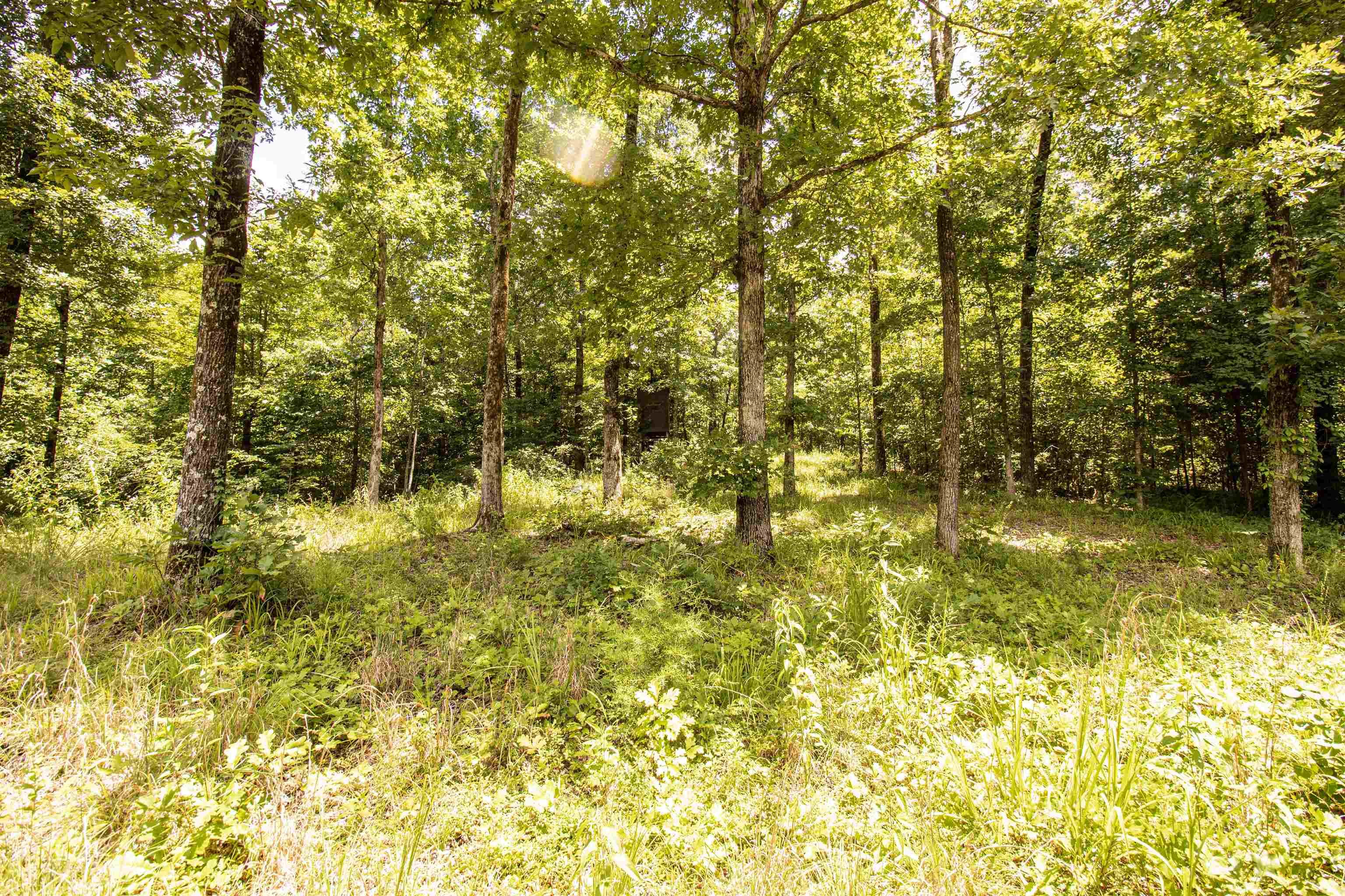 00 100 Hwy Property Photo 17