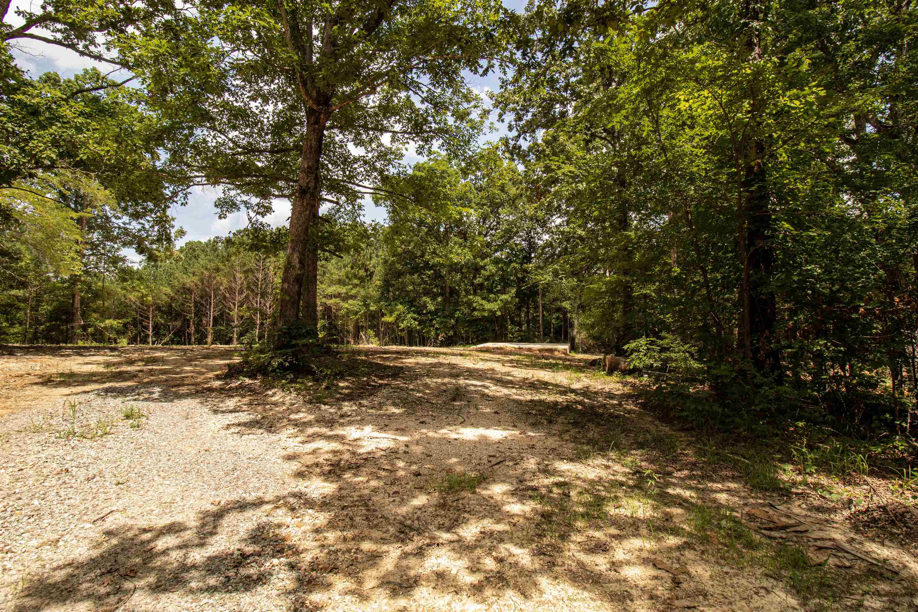 441 ROBERTS RD