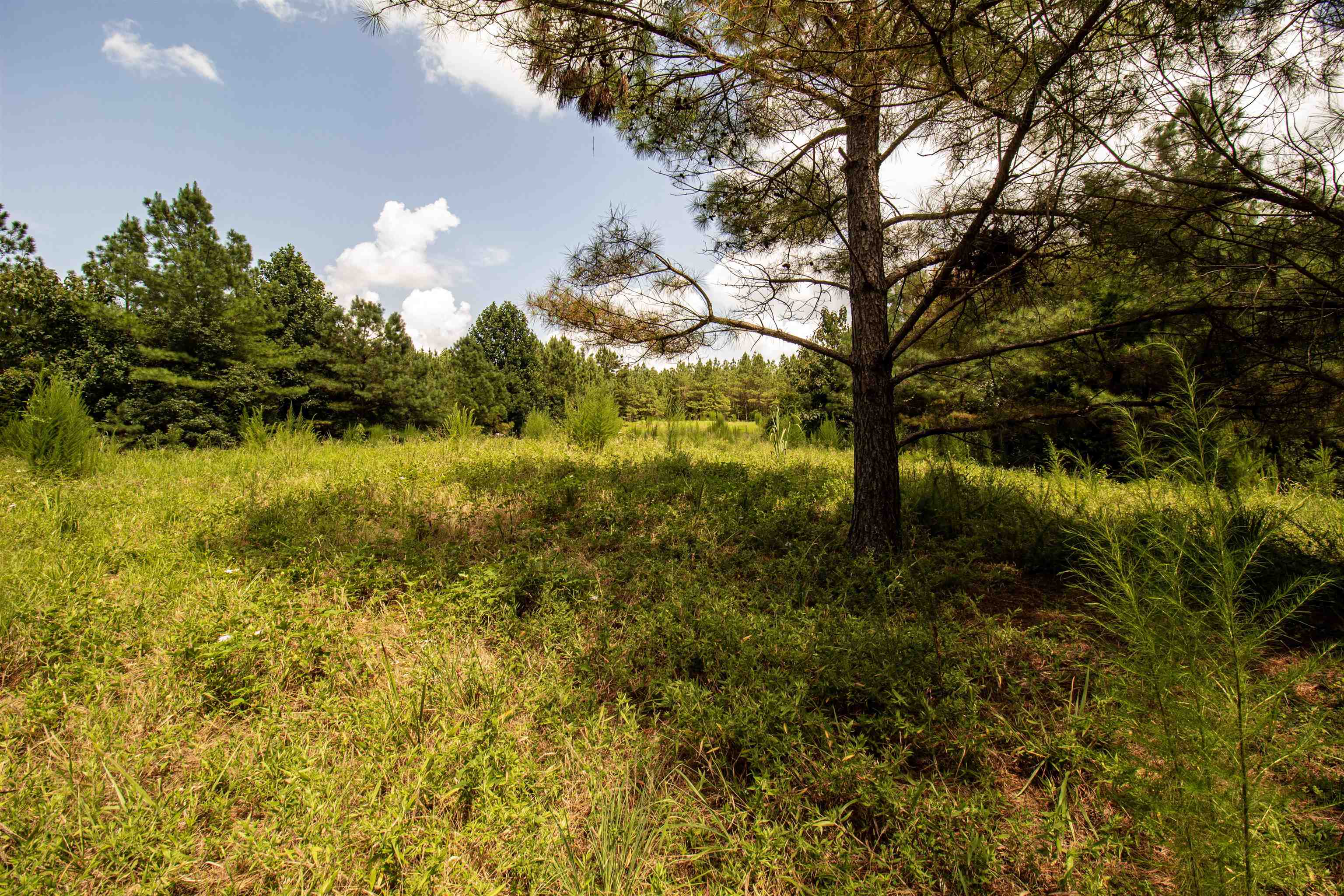 441 Roberts Rd Property Photo 10