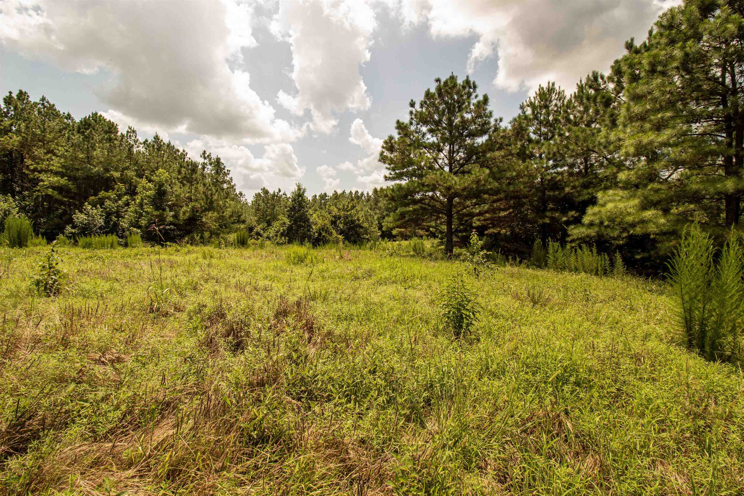 441 Roberts Rd Property Photo 11