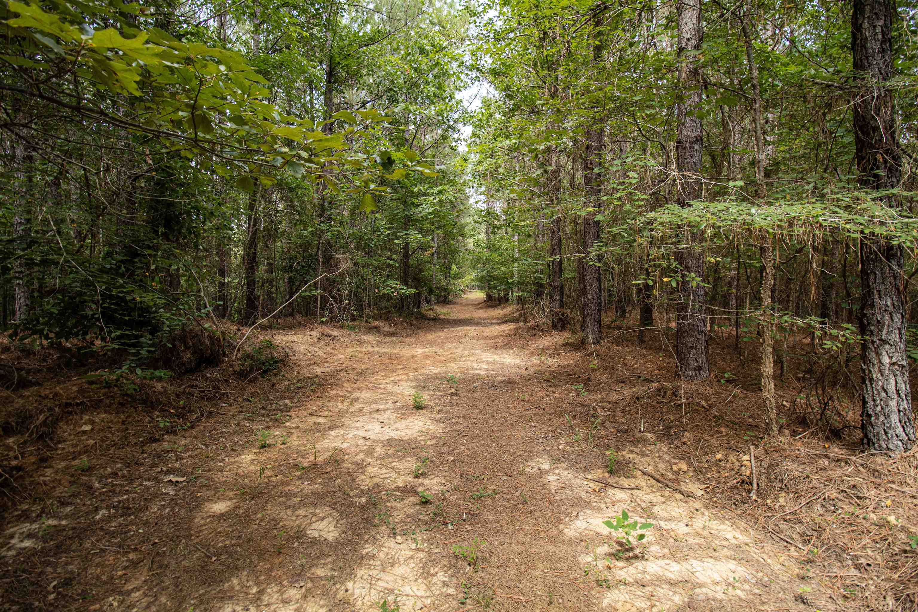 441 Roberts Rd Property Photo 12