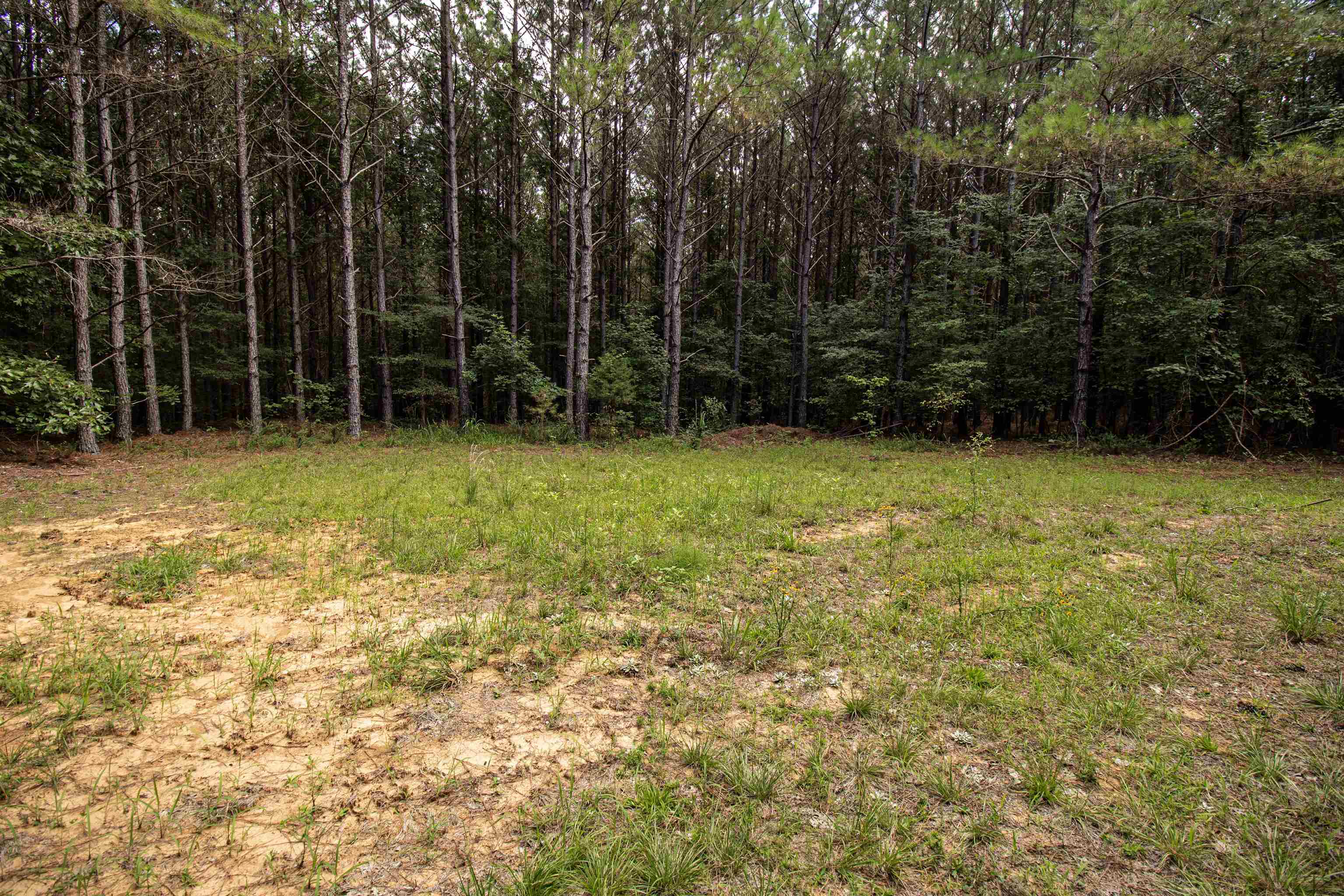 441 Roberts Rd Property Photo 13