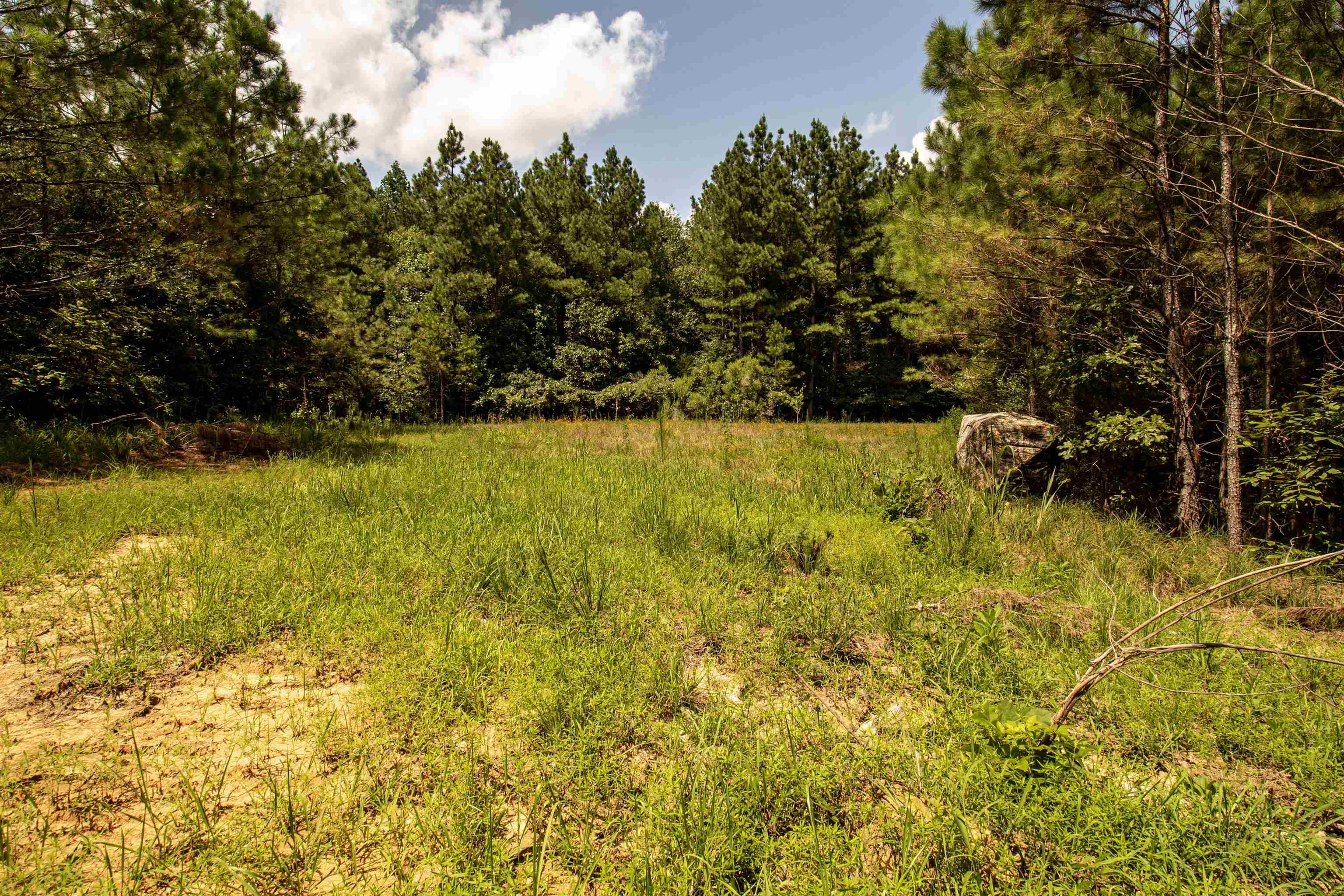 441 Roberts Rd Property Photo 14