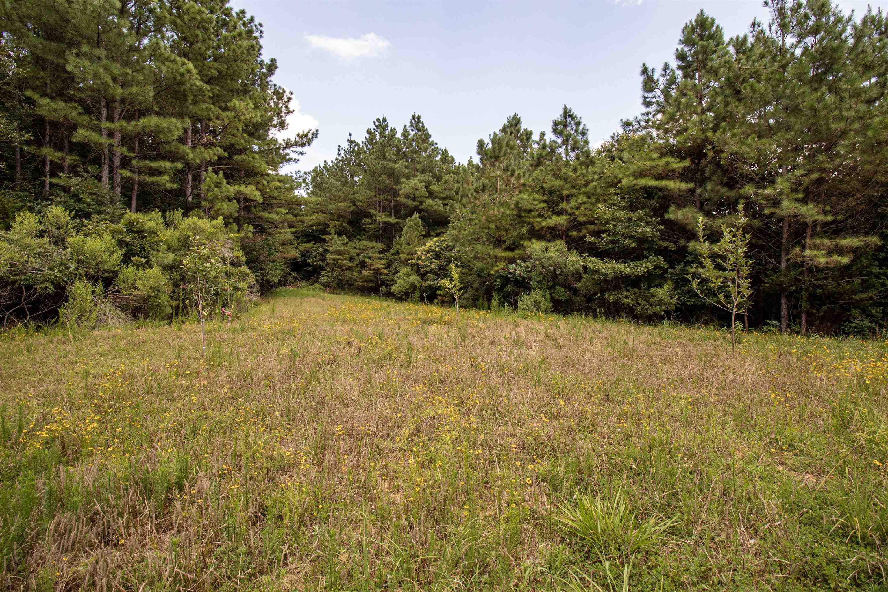 441 Roberts Rd Property Photo 16