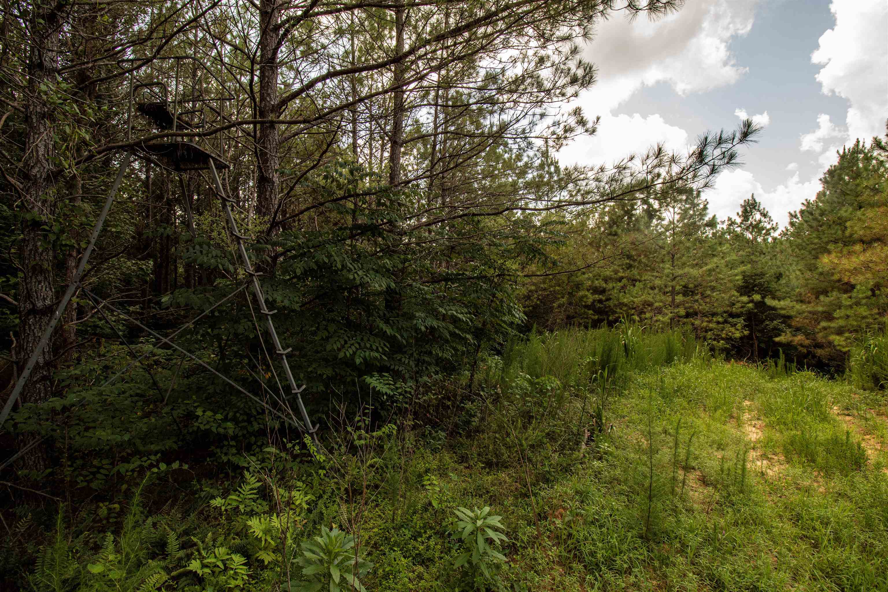 441 Roberts Rd Property Photo 17