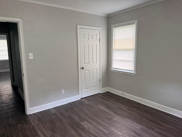 2043 Lamar Ave Property Photo 6