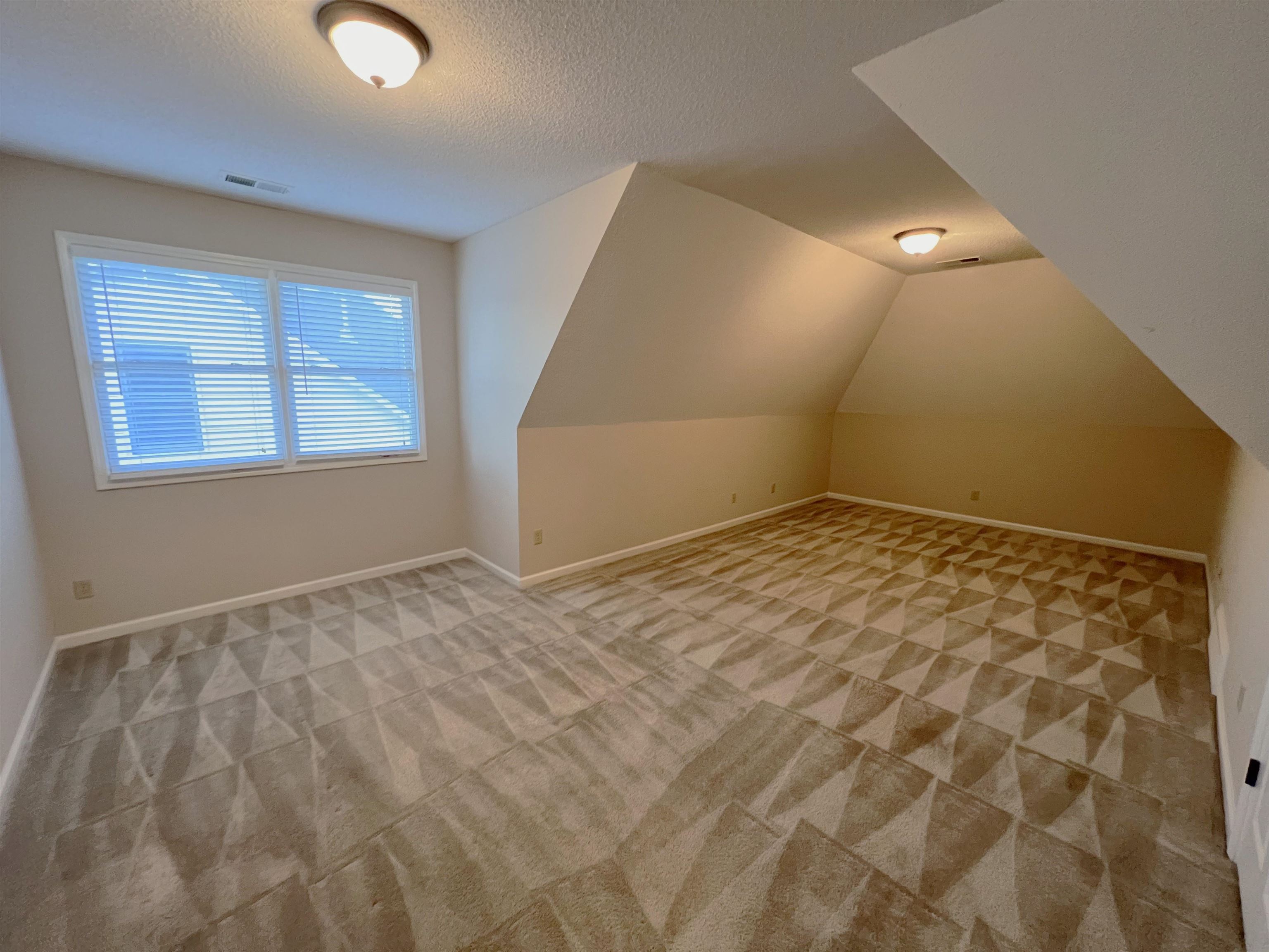 4883 Fox Springs Dr Property Photo 23