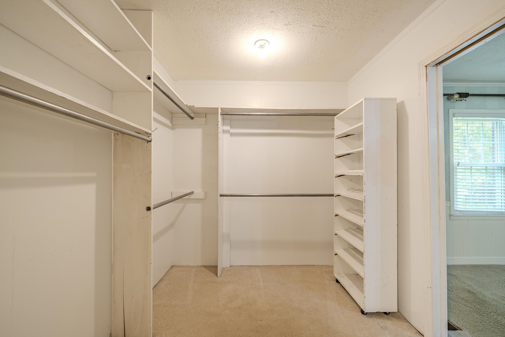 238 Harwood St Property Photo 14