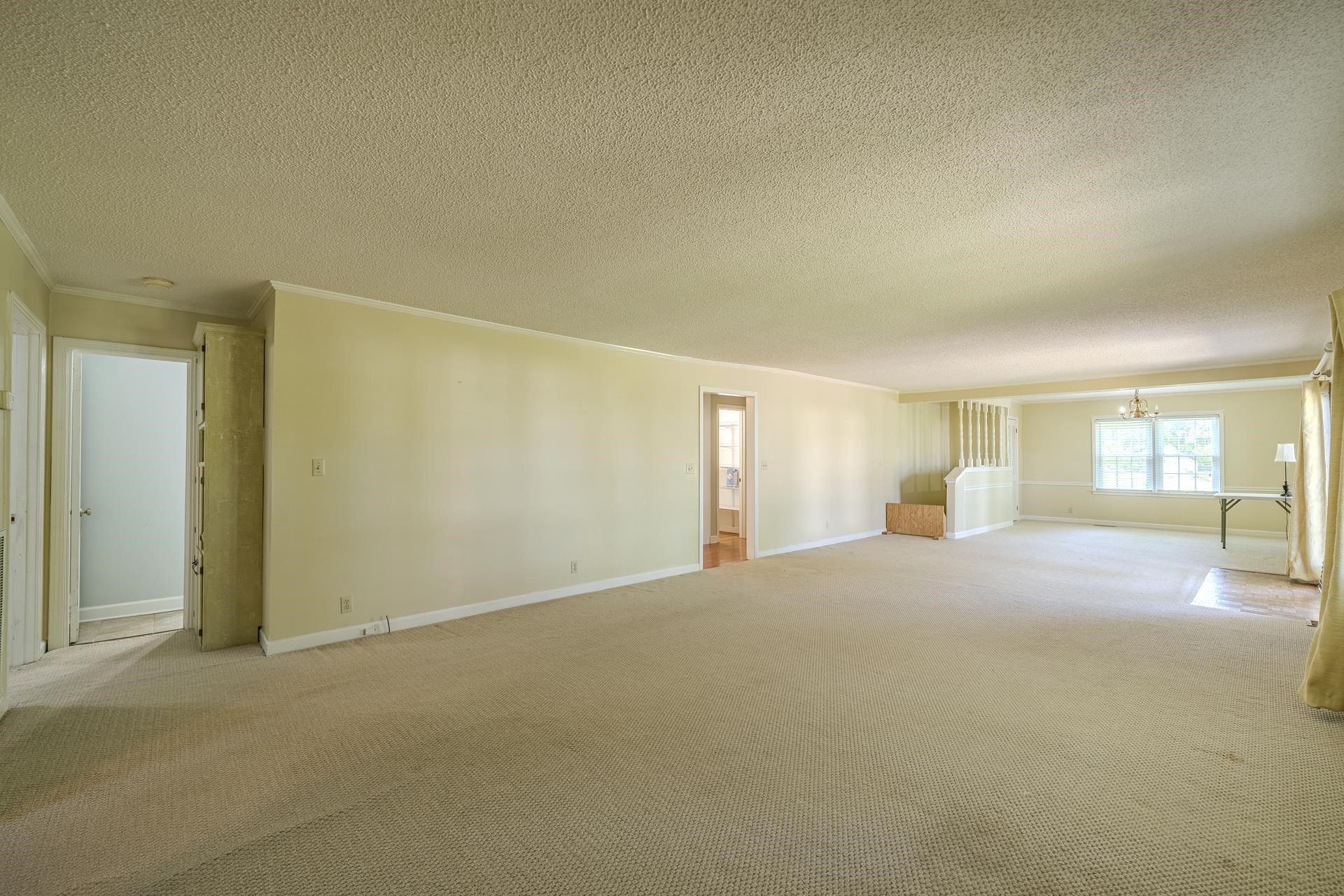 238 Harwood St Property Photo 17