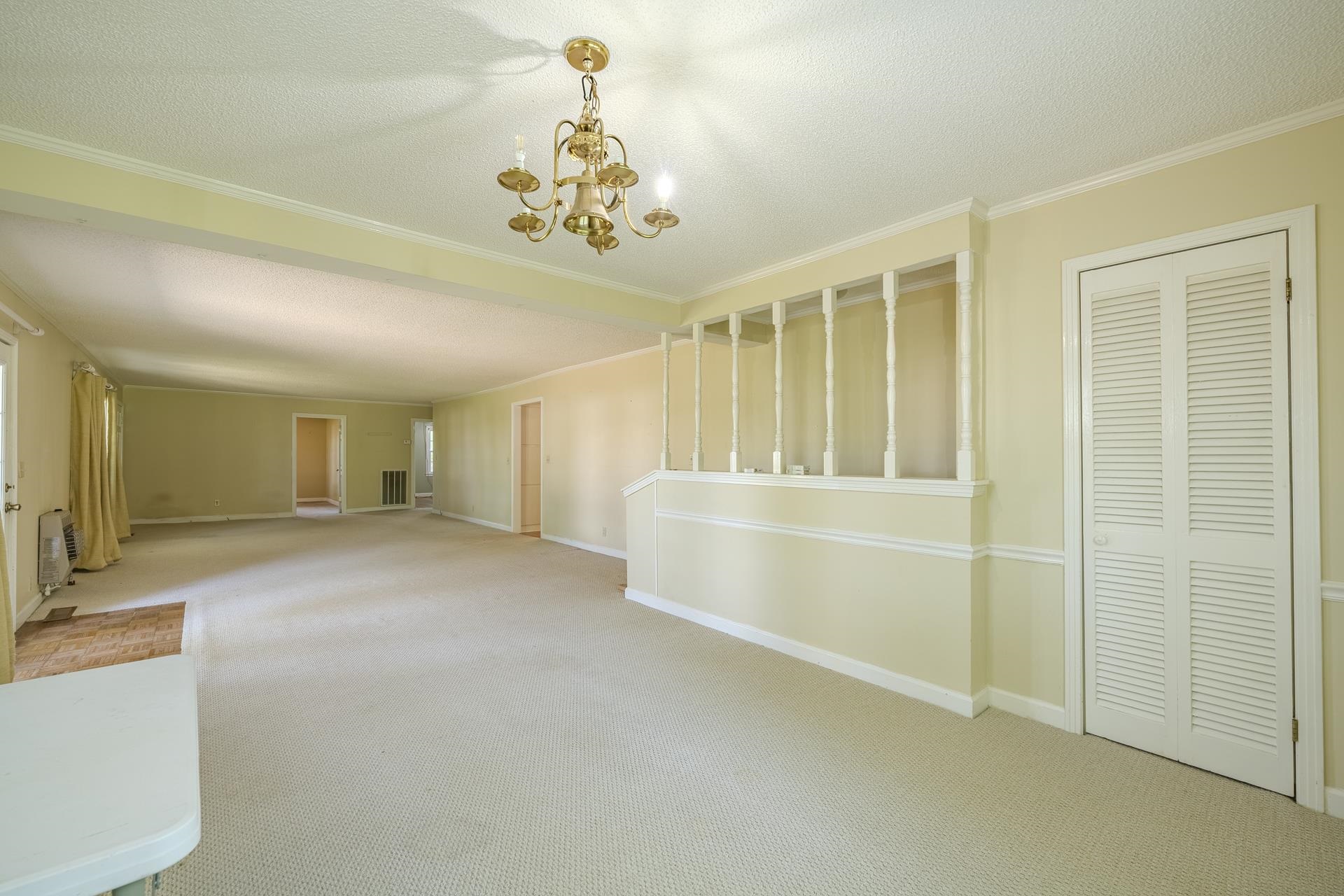 238 Harwood St Property Photo 21