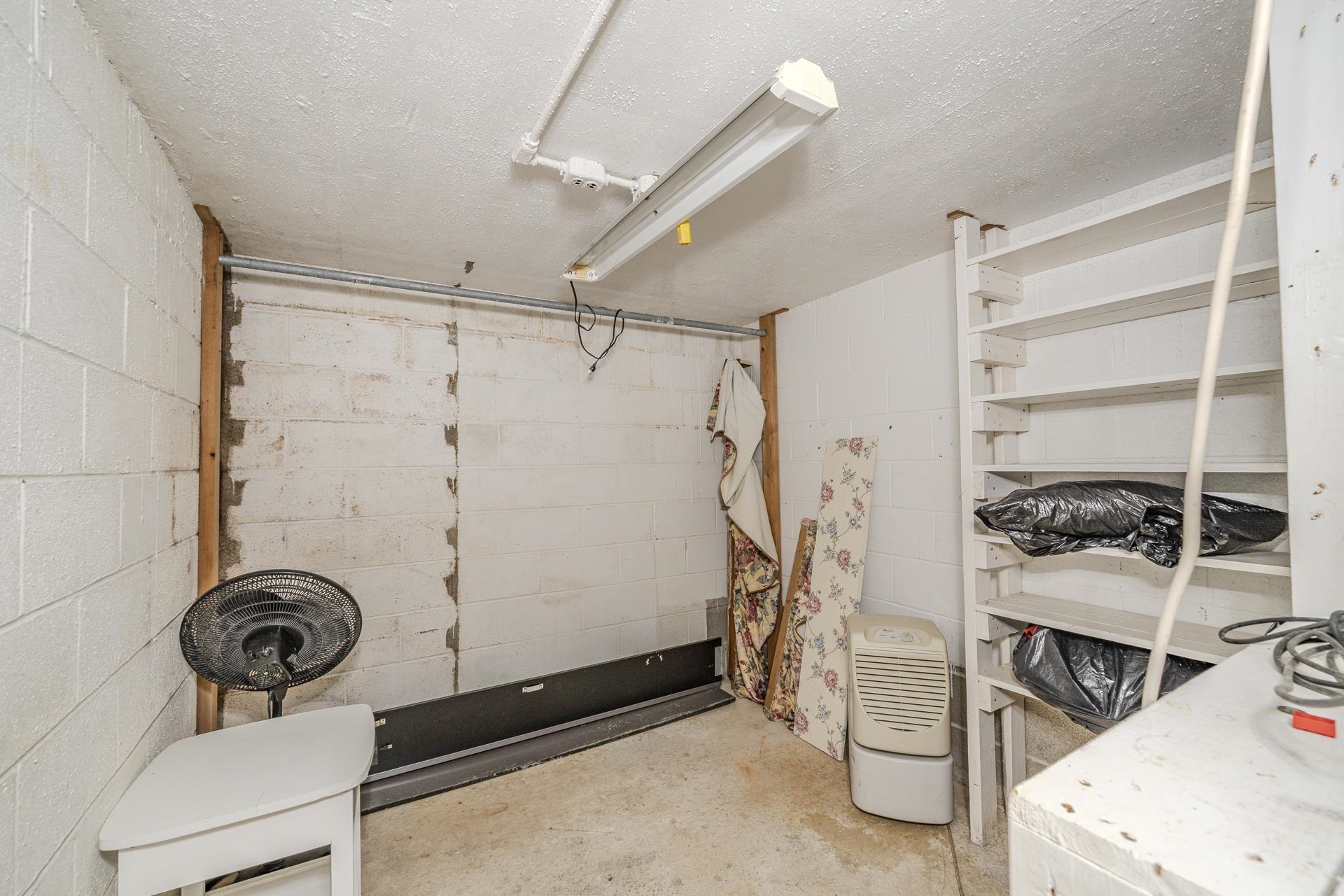 238 Harwood St Property Photo 22