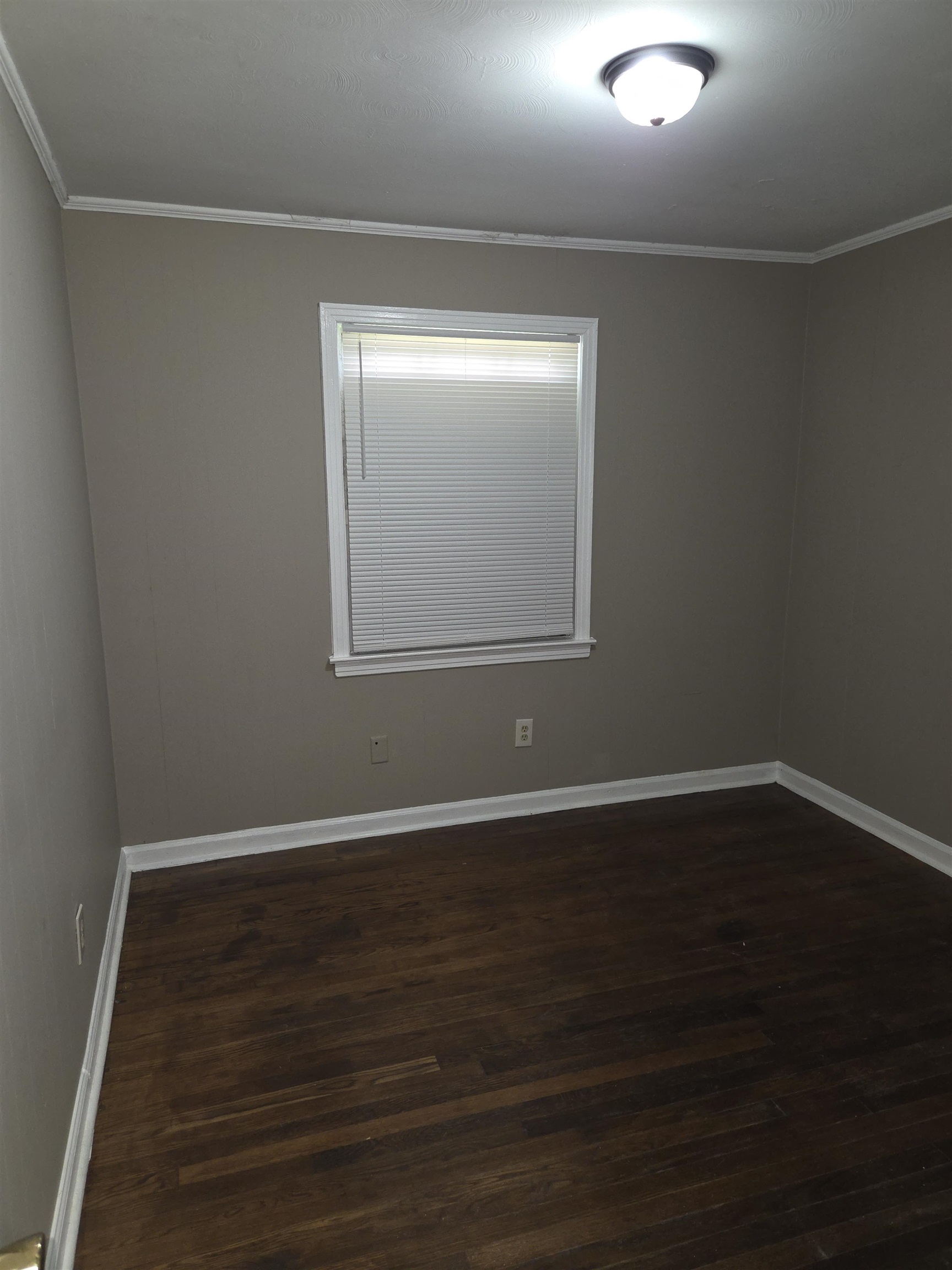 1817 Baldwin Ave Property Photo 17