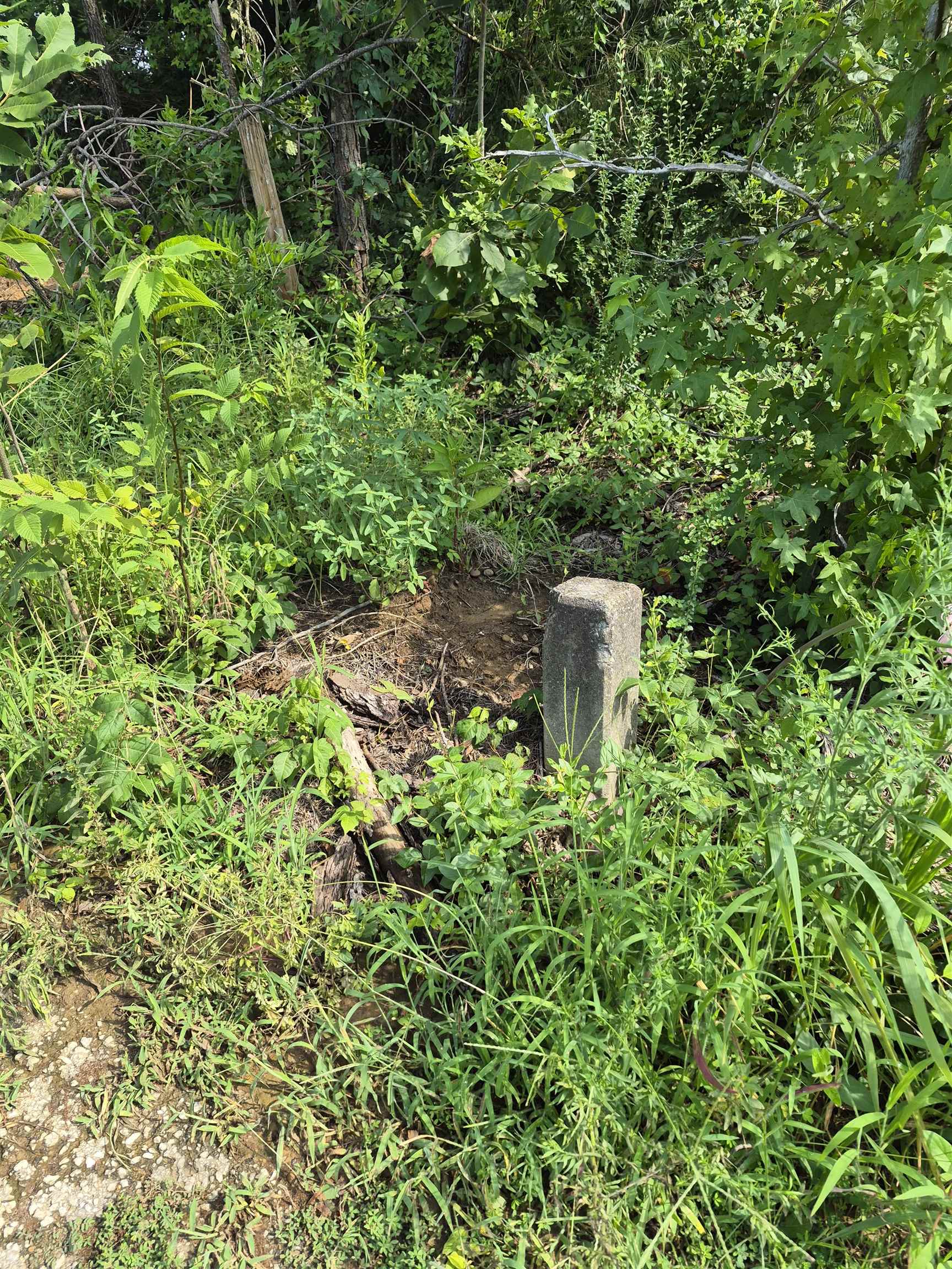 414 57 Hwy E Property Photo 11