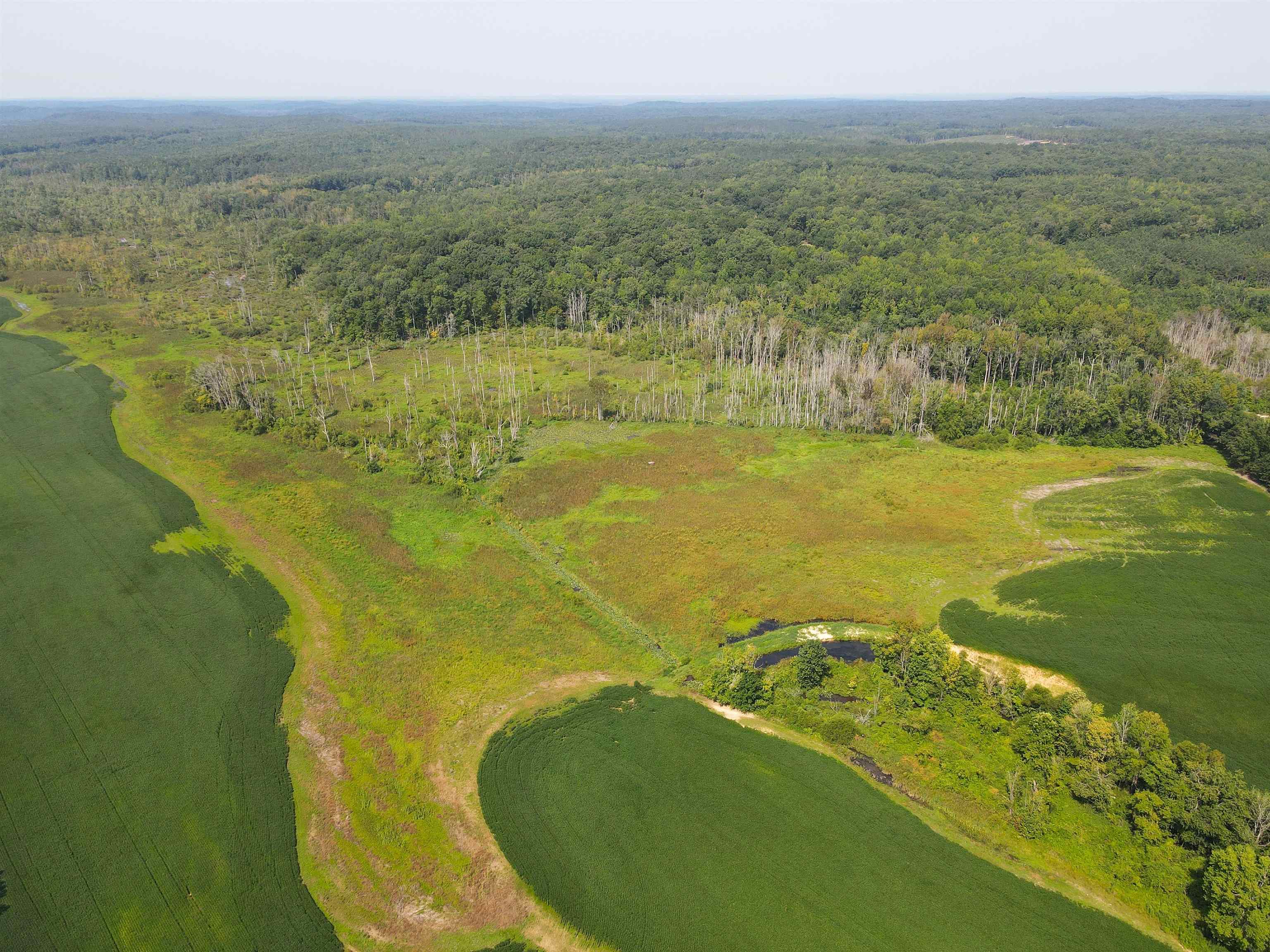 0 Hwy 57 Hwy W Property Photo 5