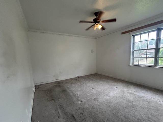 1917 Finley Rd Property Photo 9