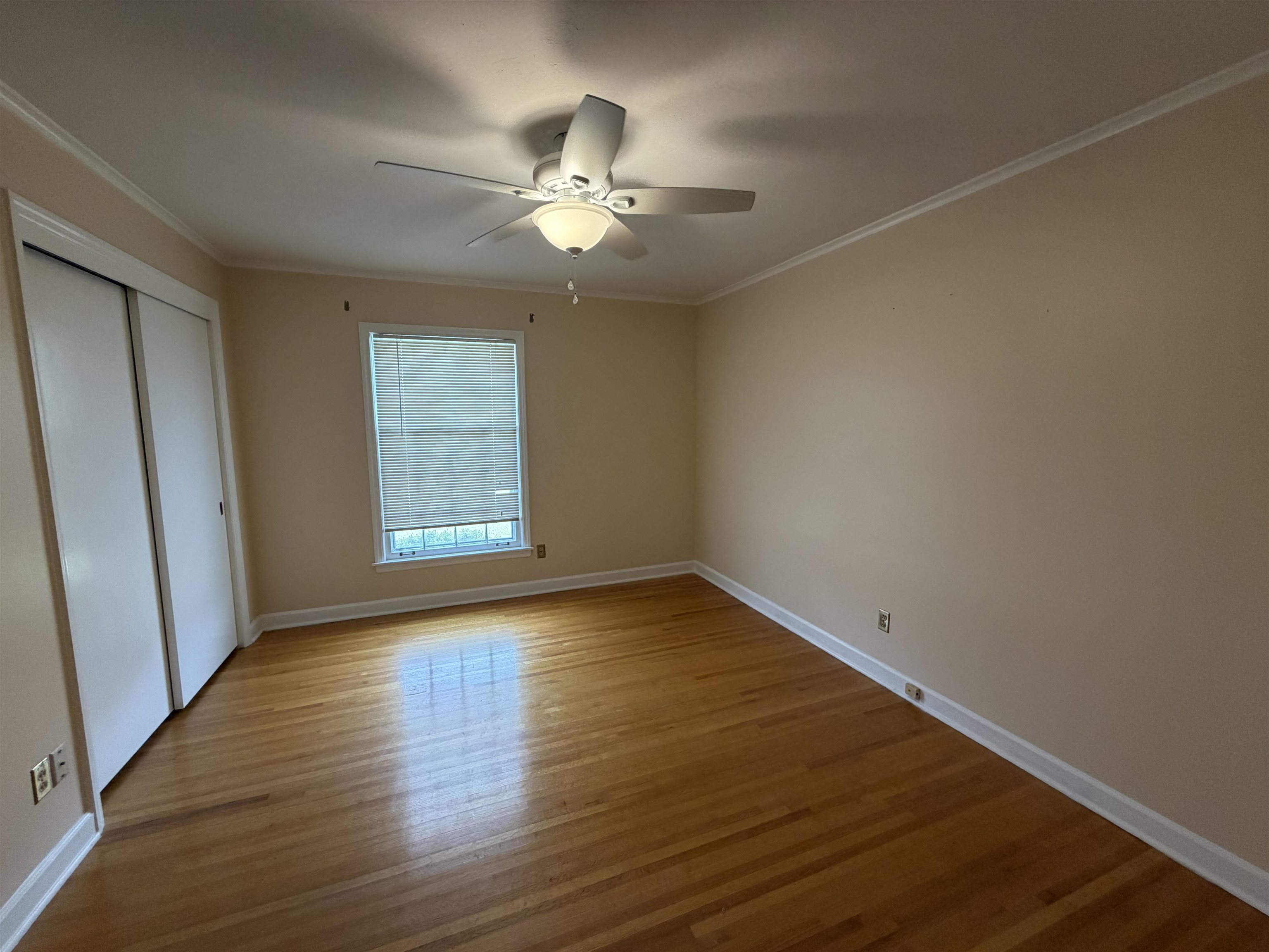 5327 Quince Rd Property Photo 11