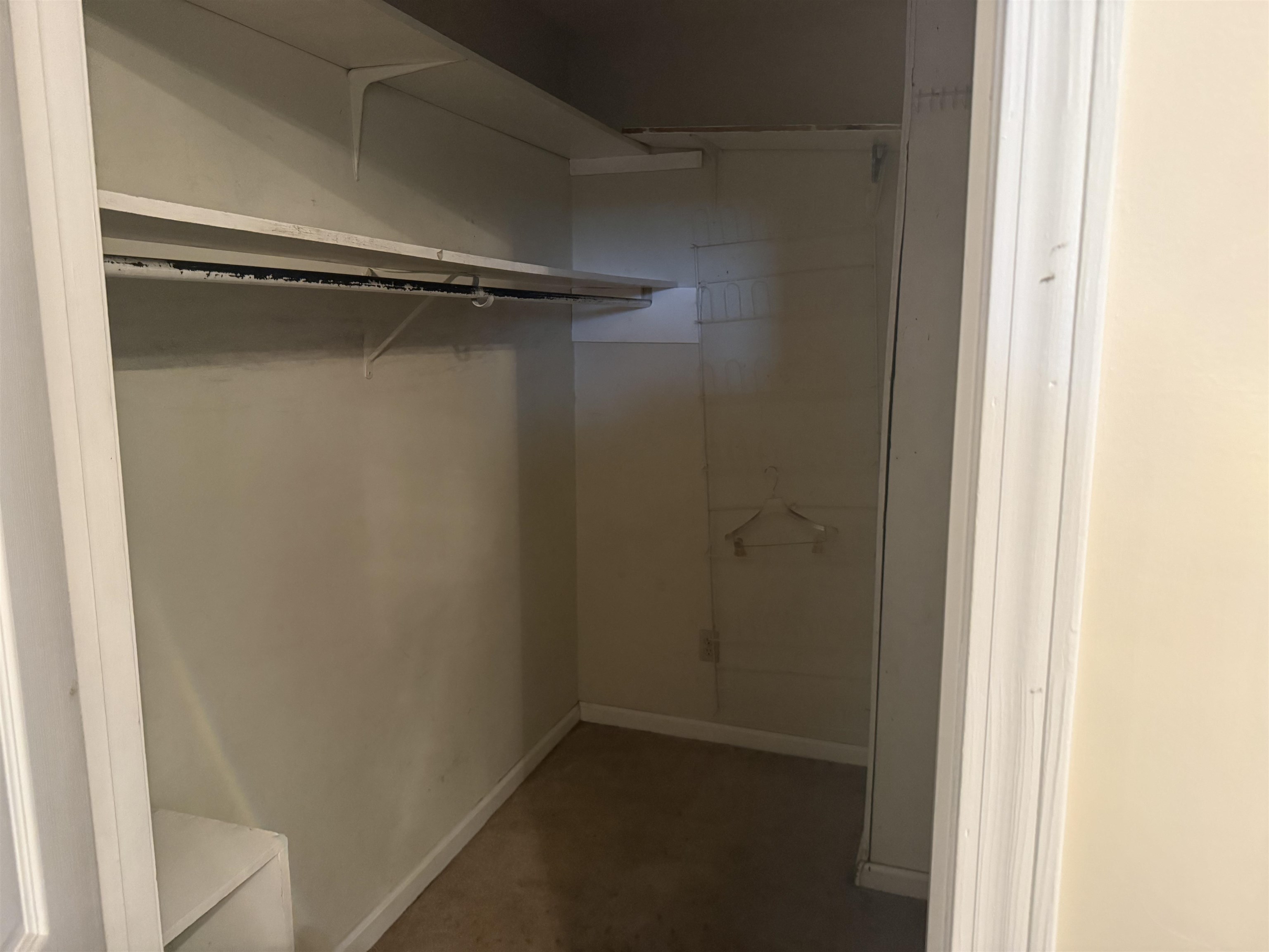 5276 Cresser St Property Photo 12
