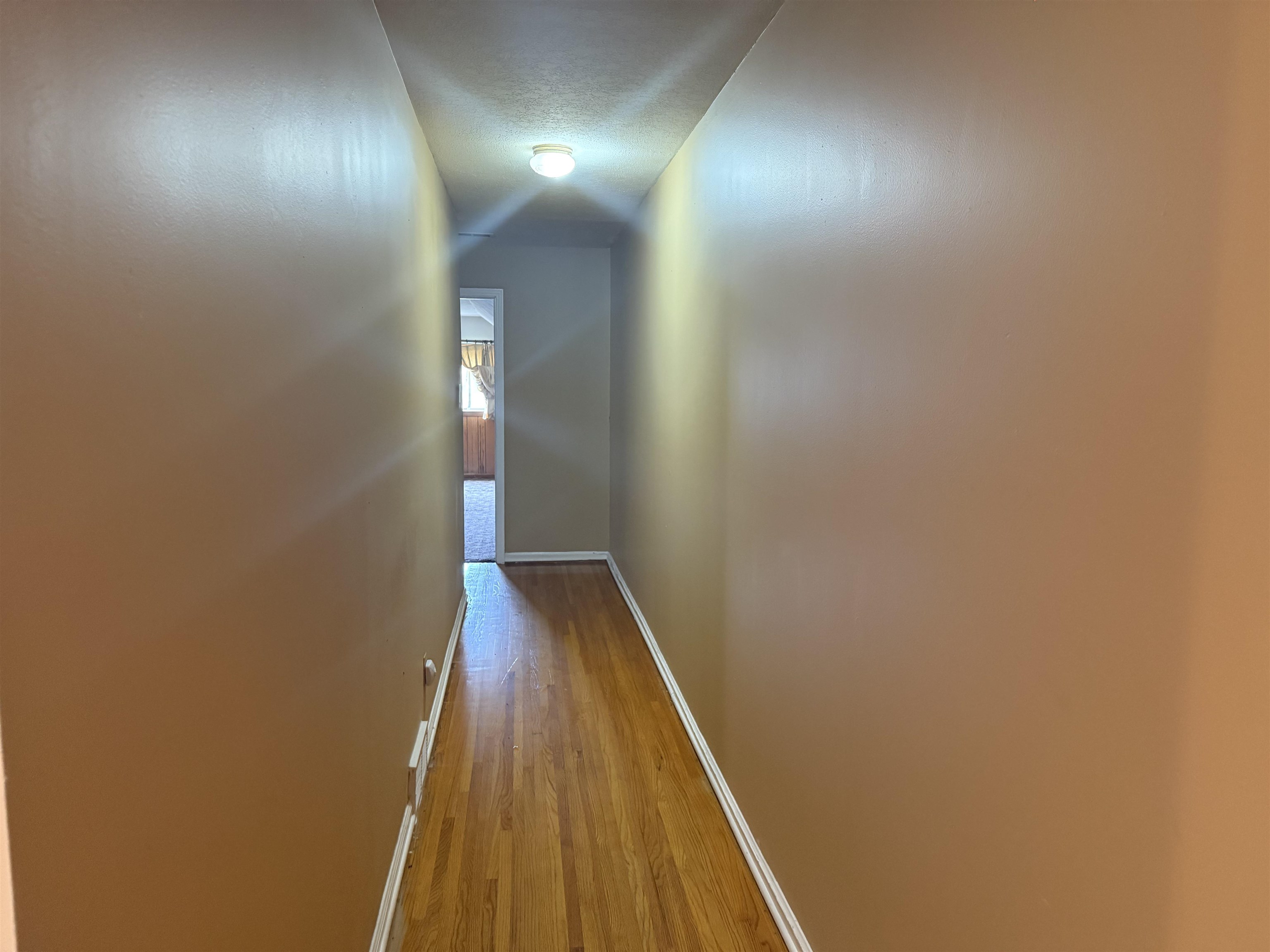 5276 Cresser St Property Photo 18