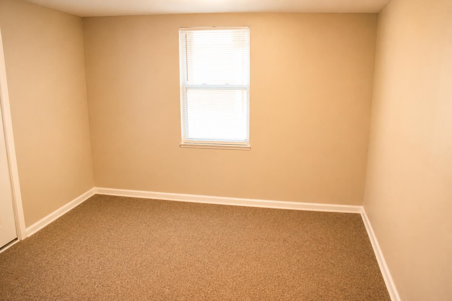 1880 Cornelia Ln Property Photo 8