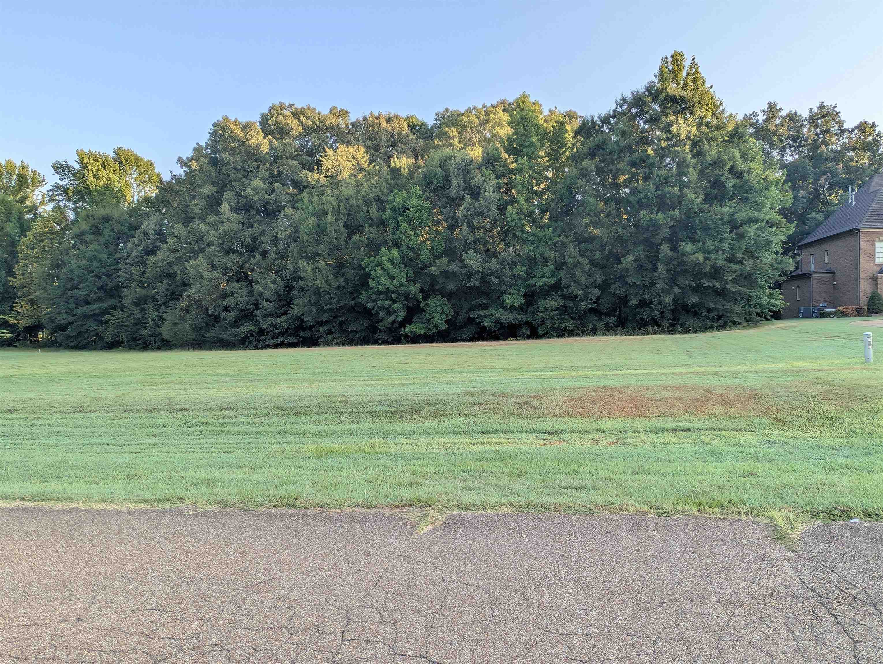 11888 STABLE VIEW DR Lot 20 Property Photo 1