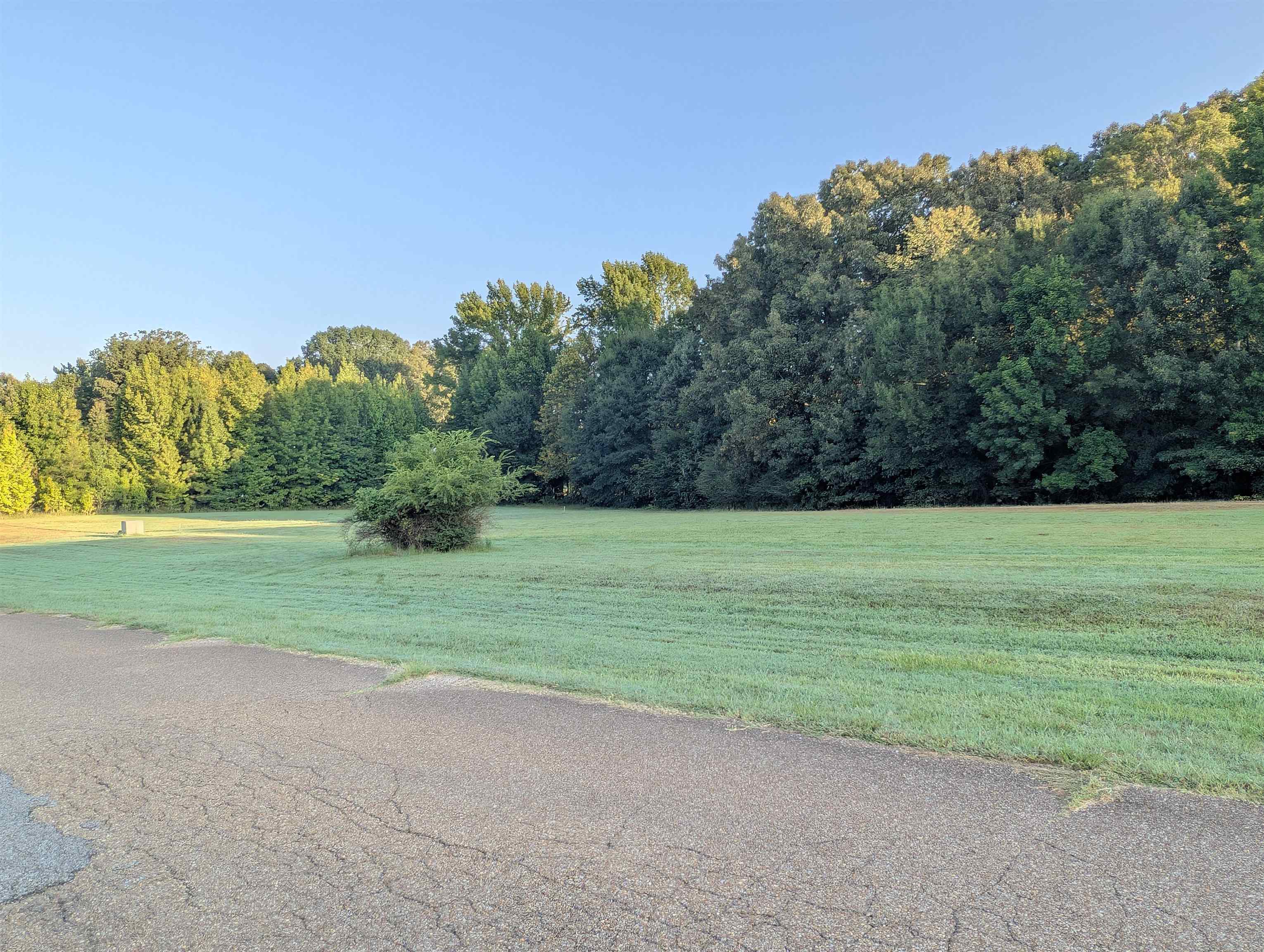 11888 Stable View Dr Lot 20 Property Photo 3