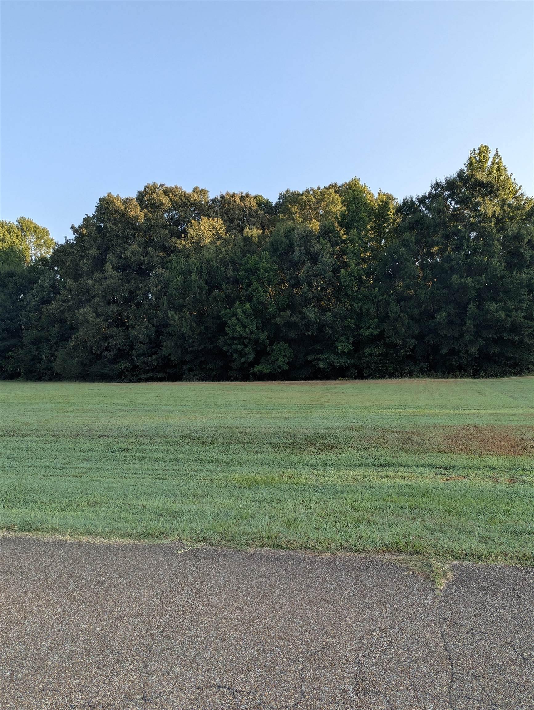 11888 Stable View Dr Lot 20 Property Photo 4