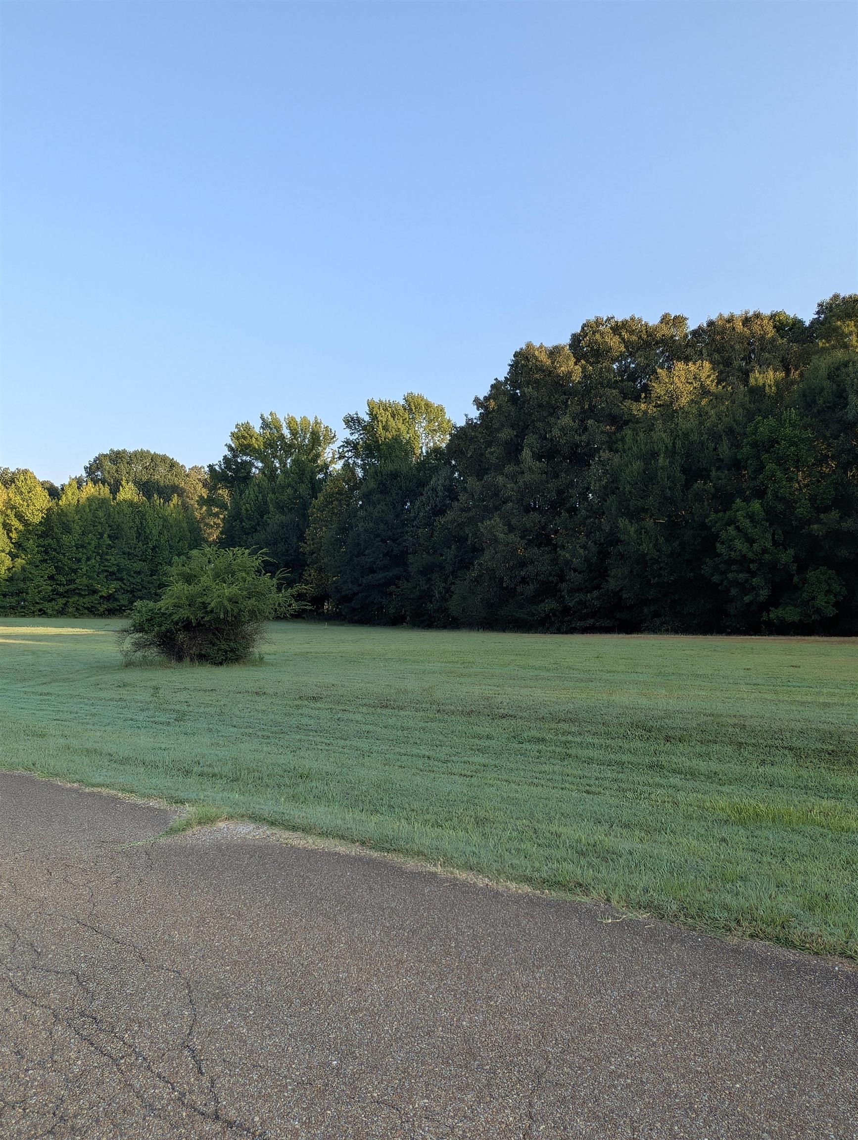 11888 Stable View Dr Lot 20 Property Photo 5