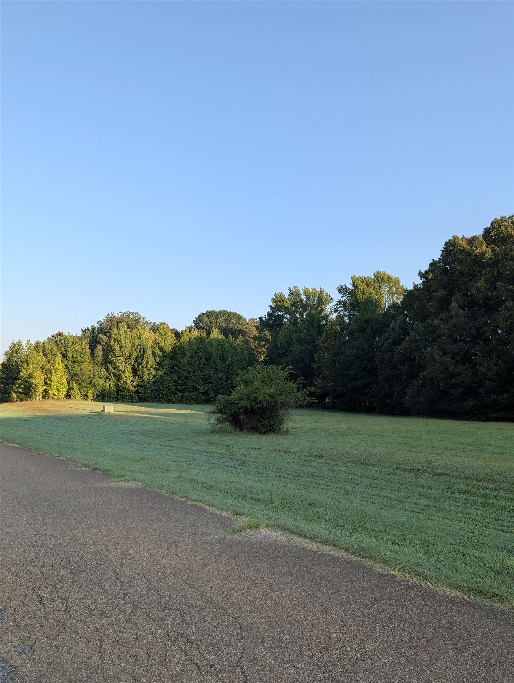 11888 Stable View Dr Lot 20 Property Photo 6