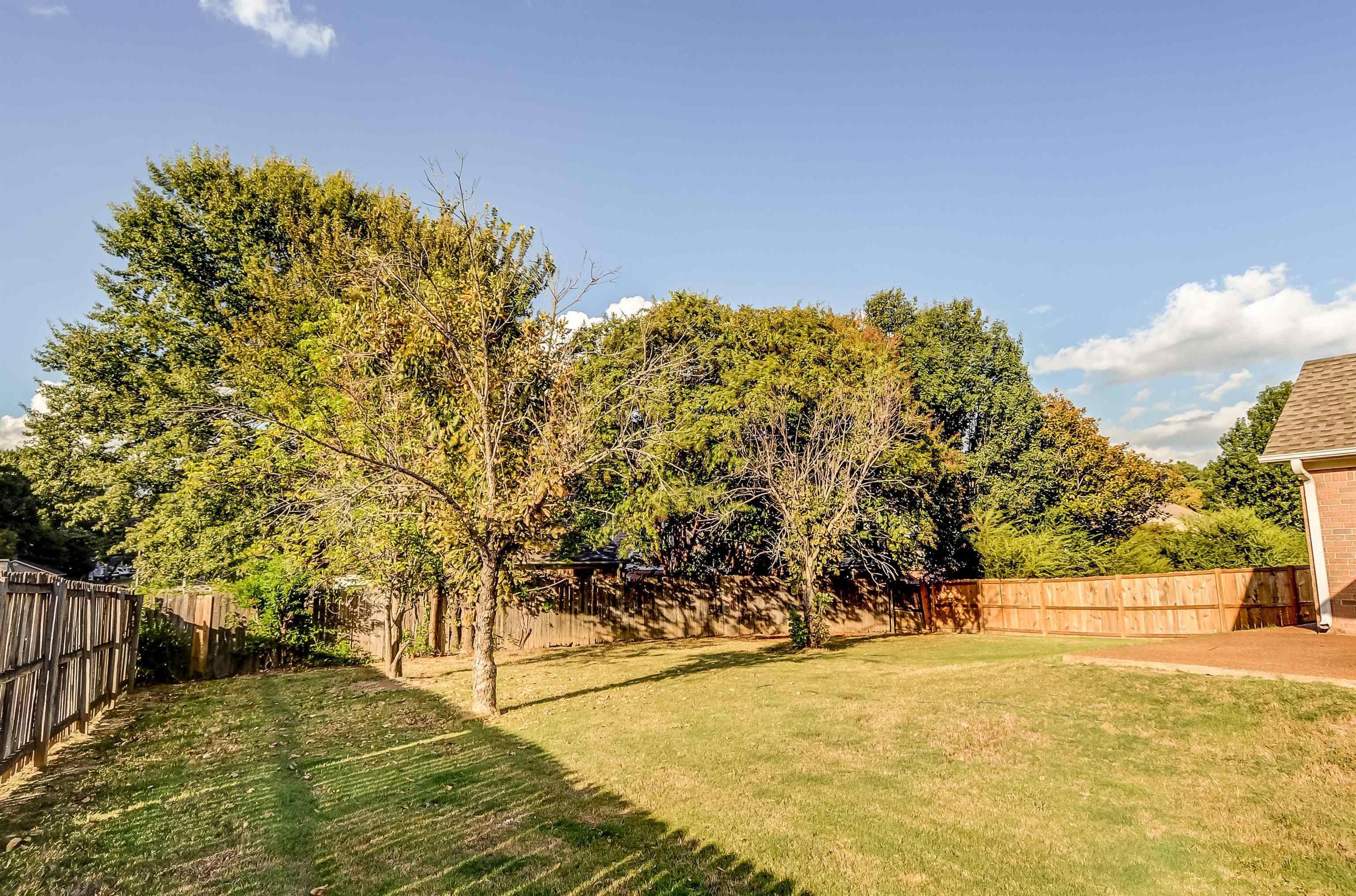 6664 Einat Cv Property Photo 28