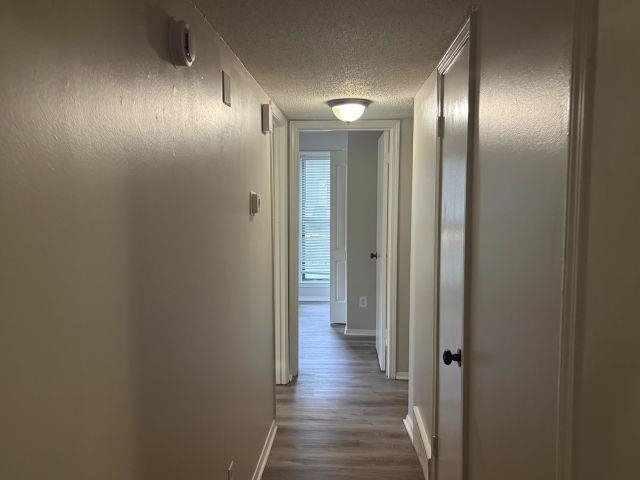 4325 Kerwin Dr Property Photo 16