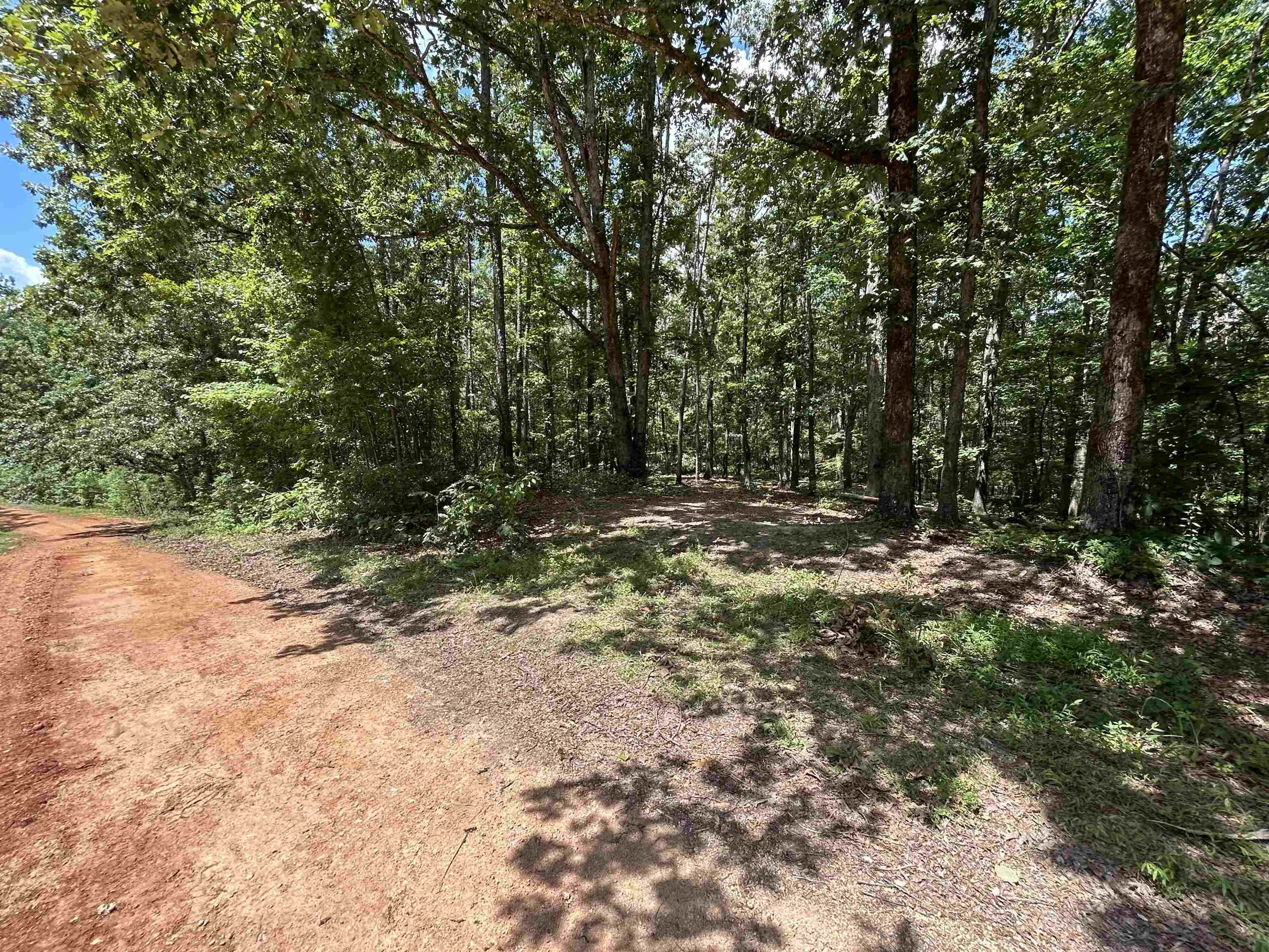 655 CHAD LN